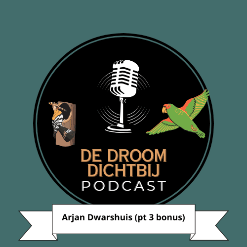 De Droom Dichtbij - Arjan Dwarshuis (deel 3 - BONUS) - Dromen is voor Volwassenen - De Podcast cover