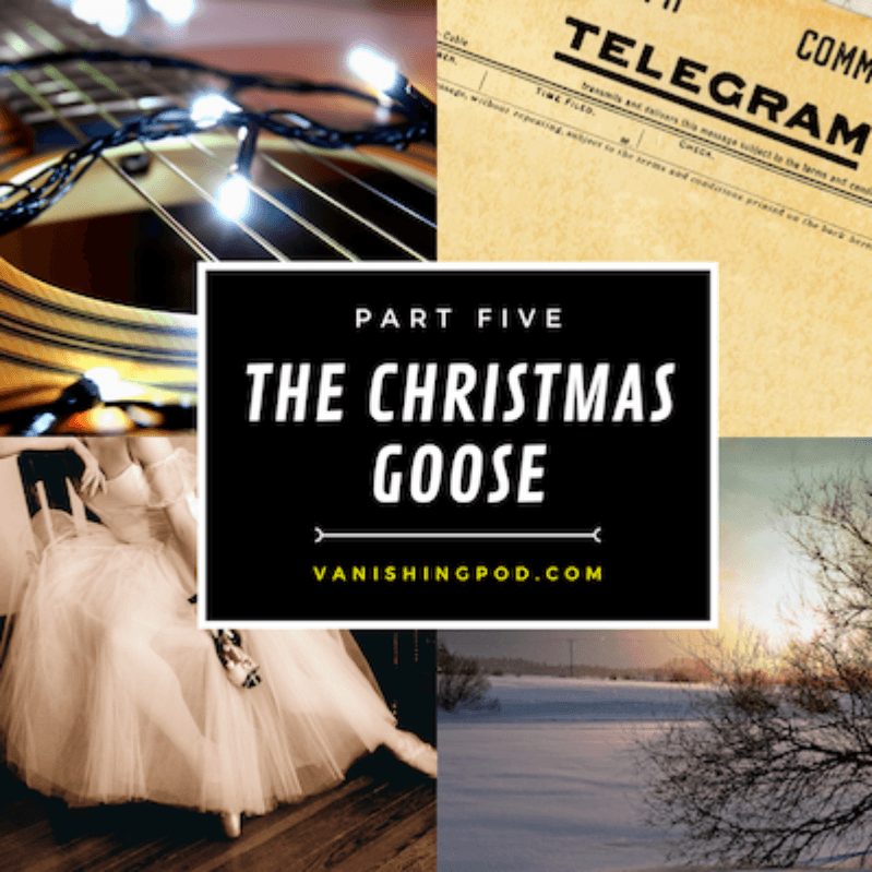 Part Five: The Christmas Goose - The Vanishing Act cover