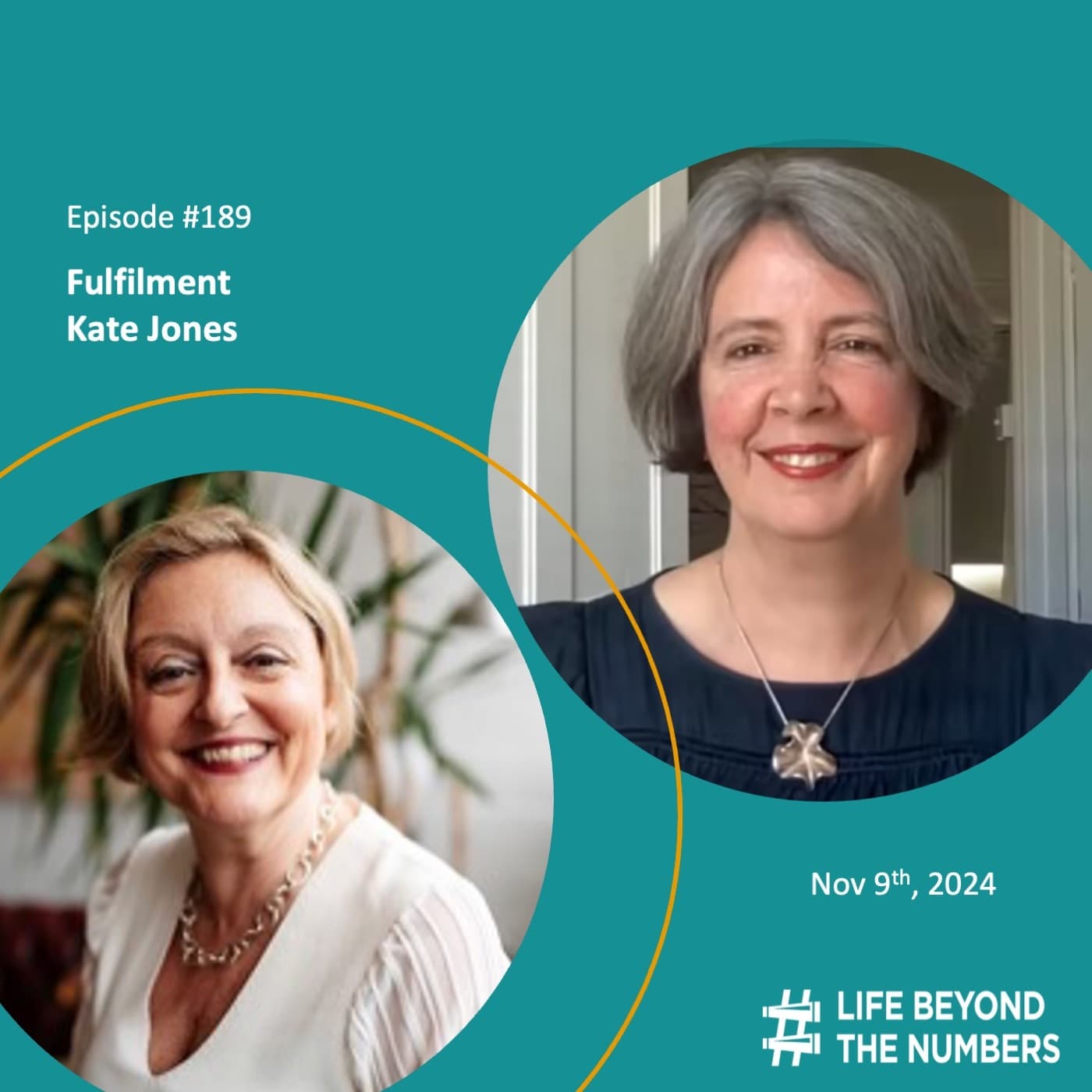 Fulfilment - Kate Jones - Life Beyond The Numbers cover