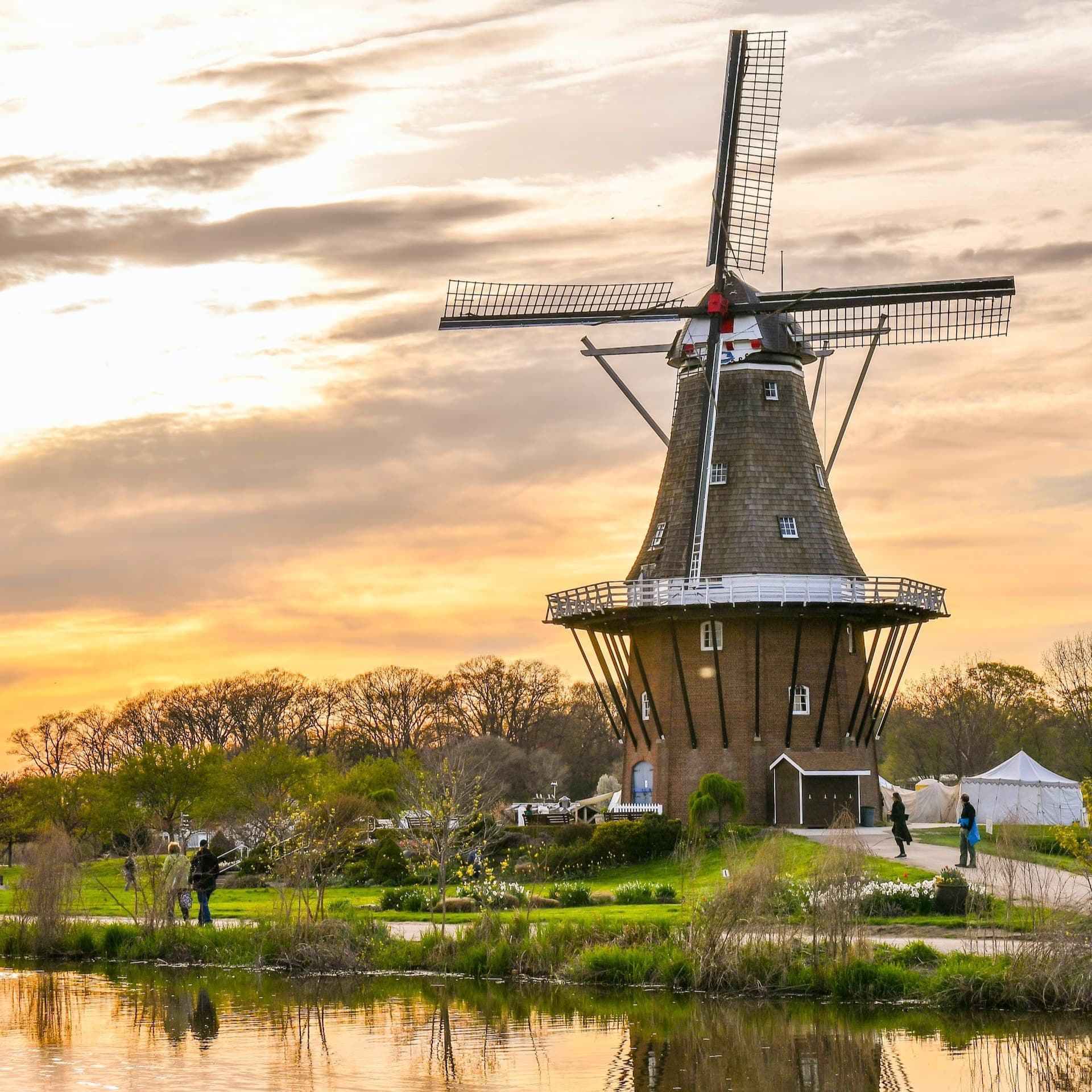 99: Dutch Farmers & The Coming Famine - Rethinking Politics cover