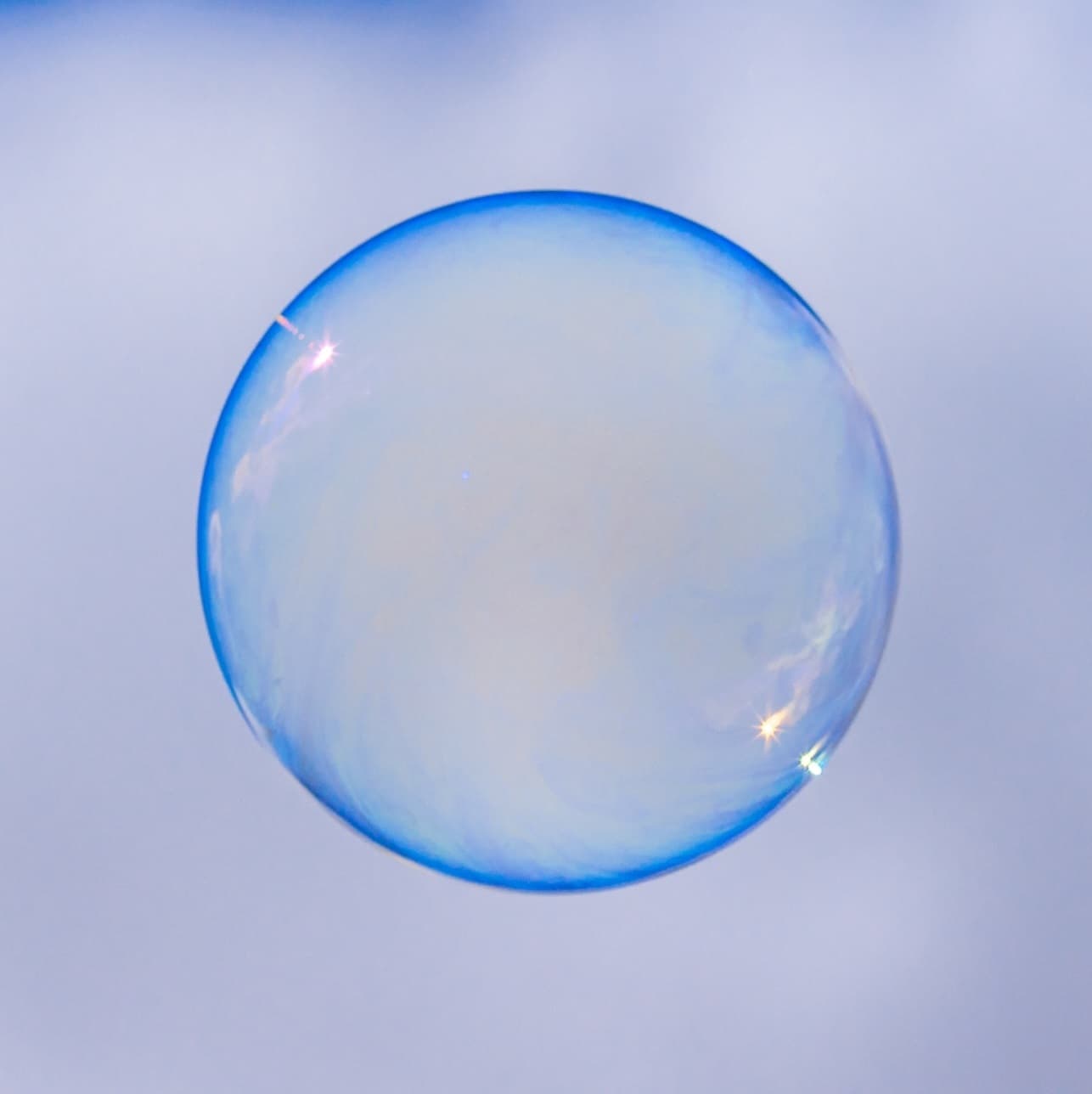 102: Biden, Trump, and the Collapse of our Economic Bubble? — Rethinking Politics cover