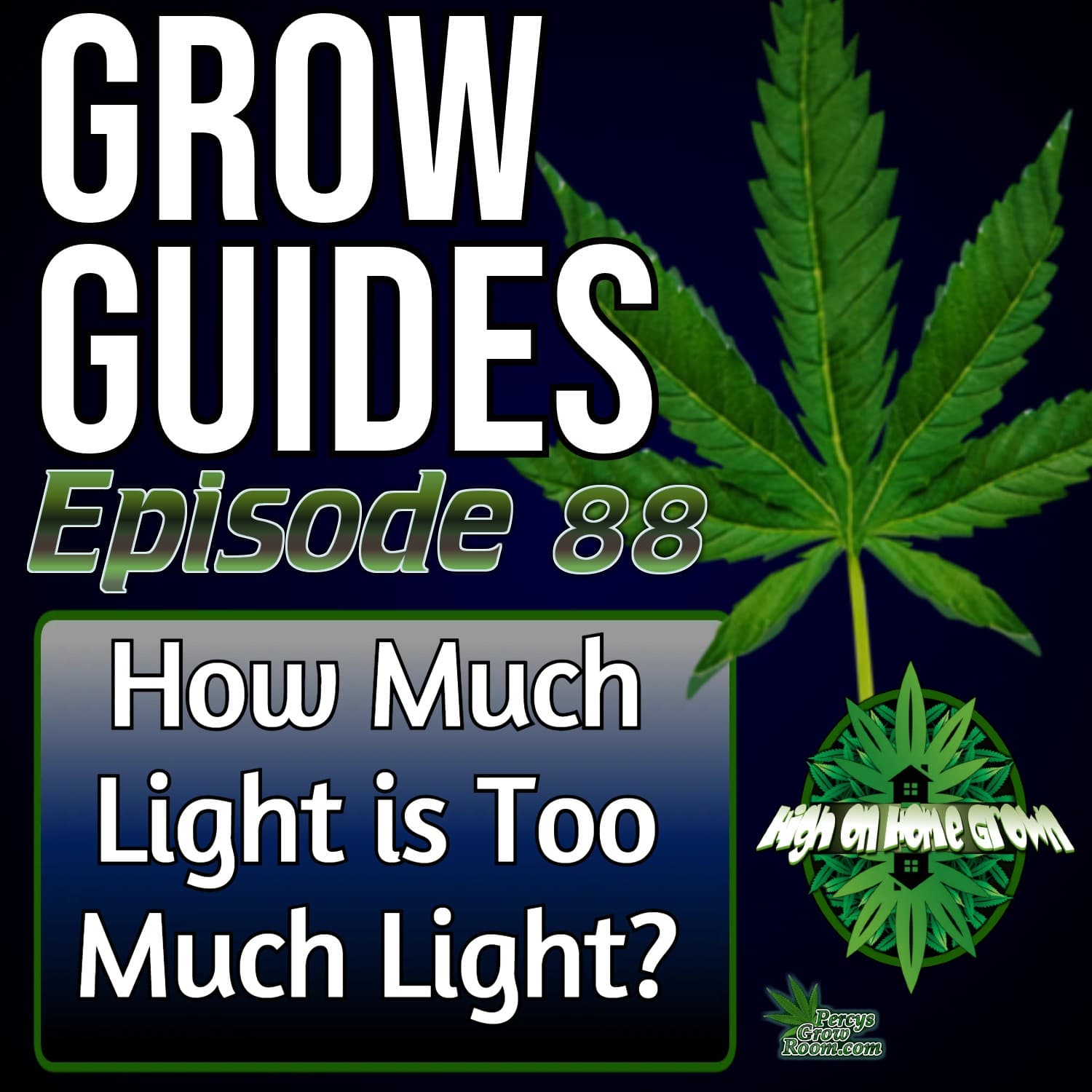 How Much Light Is Too Much for Cannabis Plants? Avoid Light Stress, Bleaching & Wasted Energy | Grow Guides Ep. 88 - High on Home Grown, The Cannabis Podcast cover