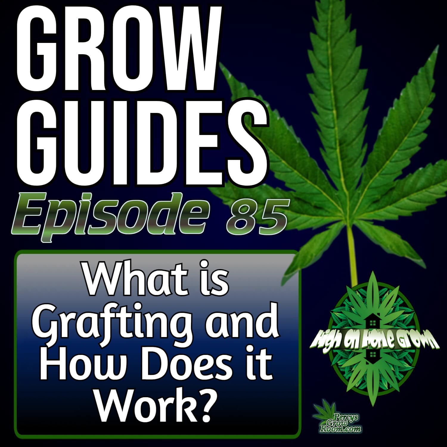 Cannabis Grafting Explained! How It Works, Why Try It & Step-by-Step Guide | Grow Guides Ep. 85 - High on Home Grown, The Cannabis Podcast cover