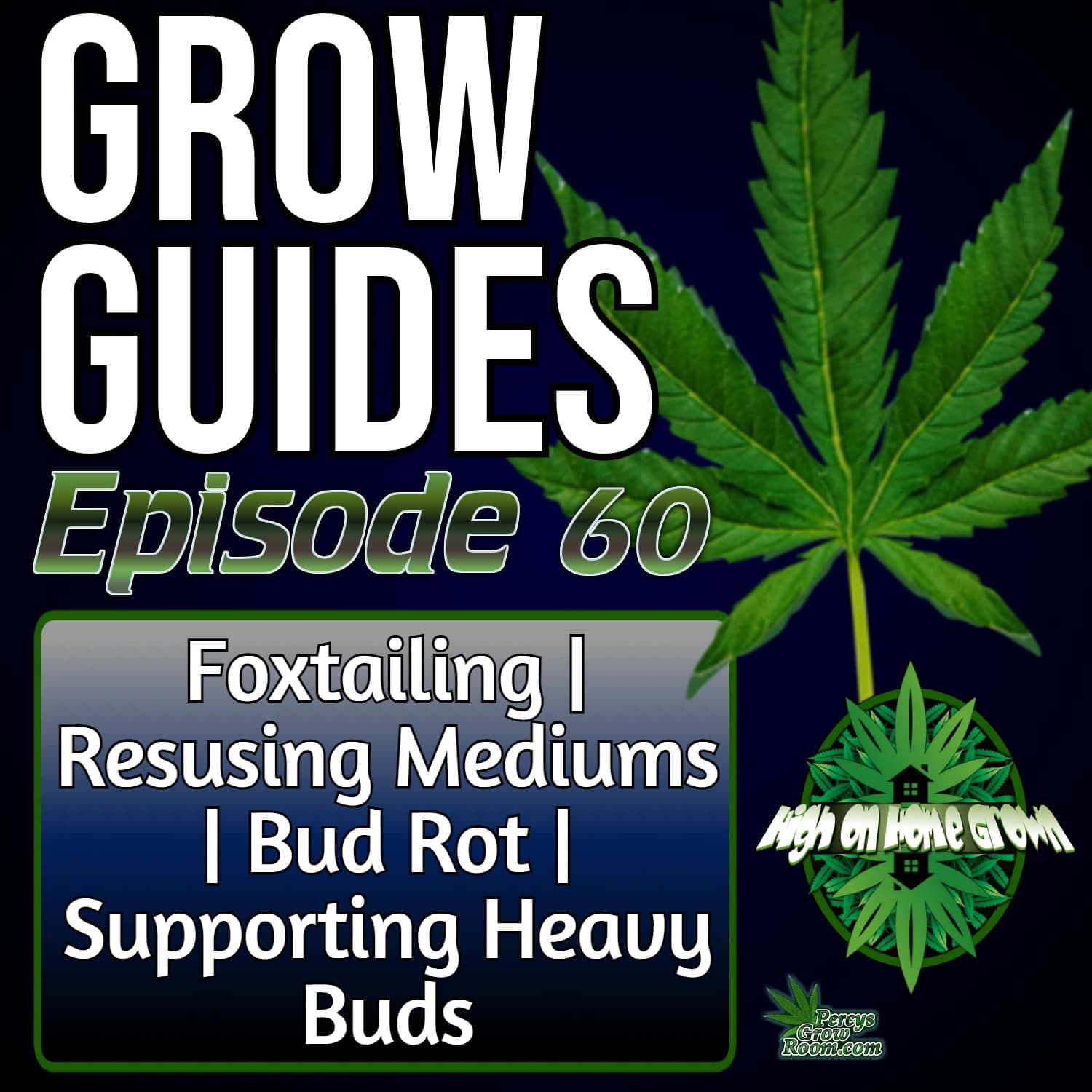 Stopping Foxtails, Reusing Grow Medium, Fixing Late Bud Rot & Supporting Heavy Buds | Grow Guides Ep. 60 — High on Home Grown, The Cannabis Podcast cover