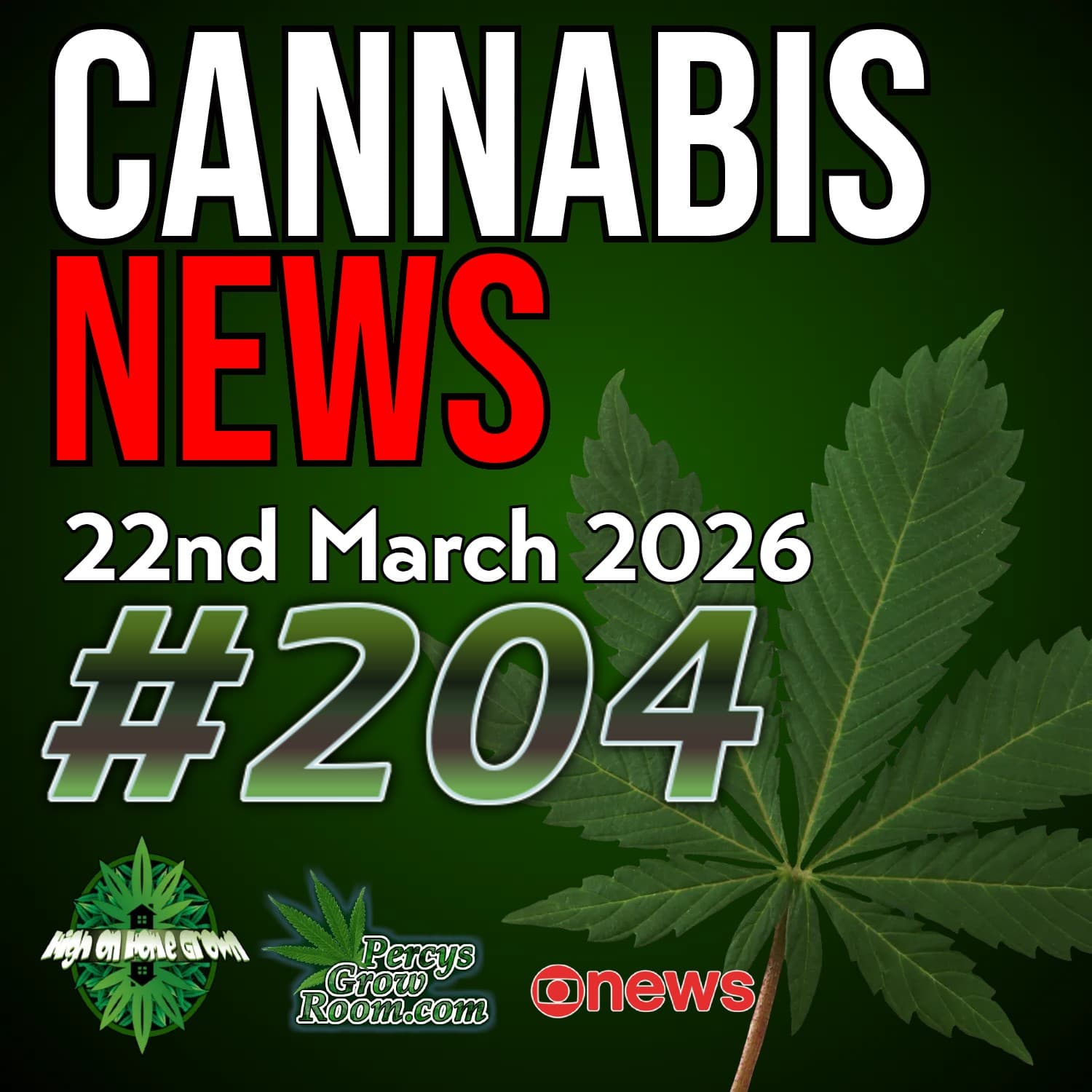 More Propaganda, A Study Claims Cannabis Doesn't Help with Mental Health Issues, we Disagree! Guernsey Medical Crackdown, Rescheduling Uncertainty in the USA | Cannabis News 204 - High on Home Grown, The Cannabis Podcast cover
