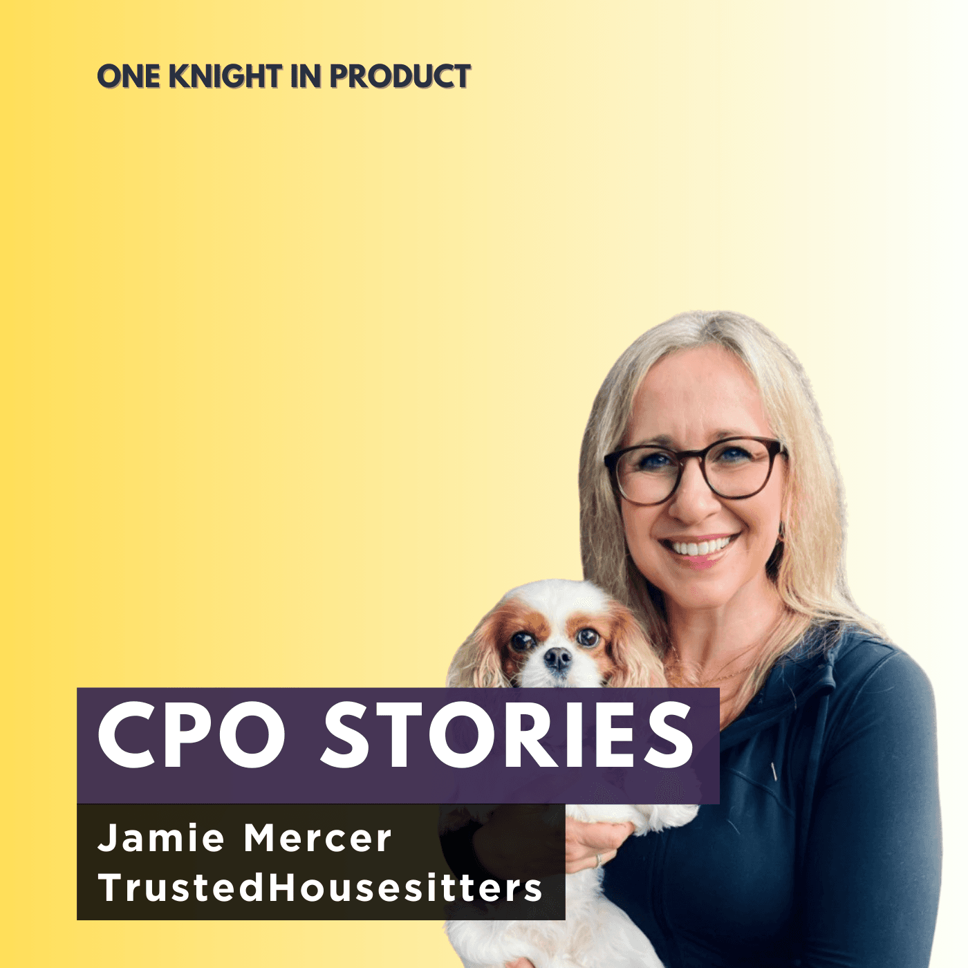 CPO Stories: Jamie Mercer - TrustedHousesitters - One Knight in Product cover