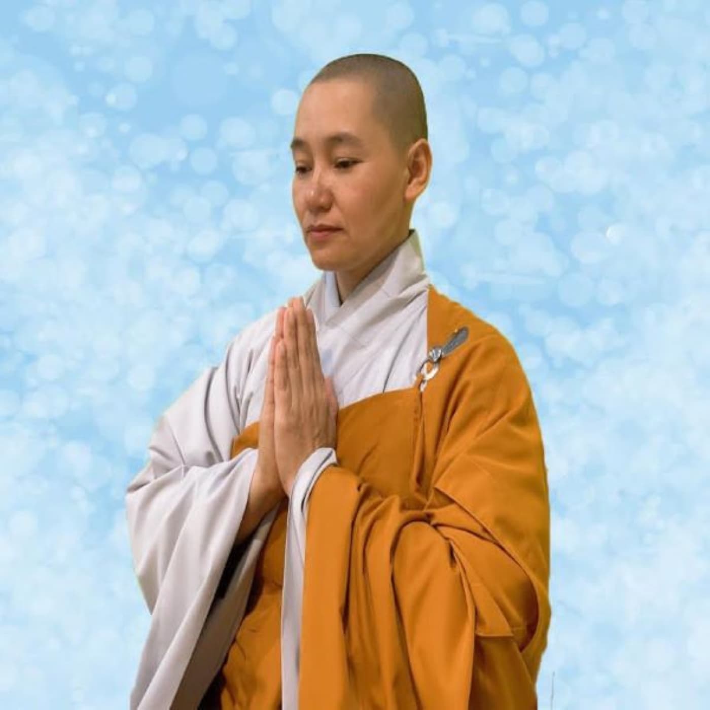 Thích nữ Nguyên Chủng cover