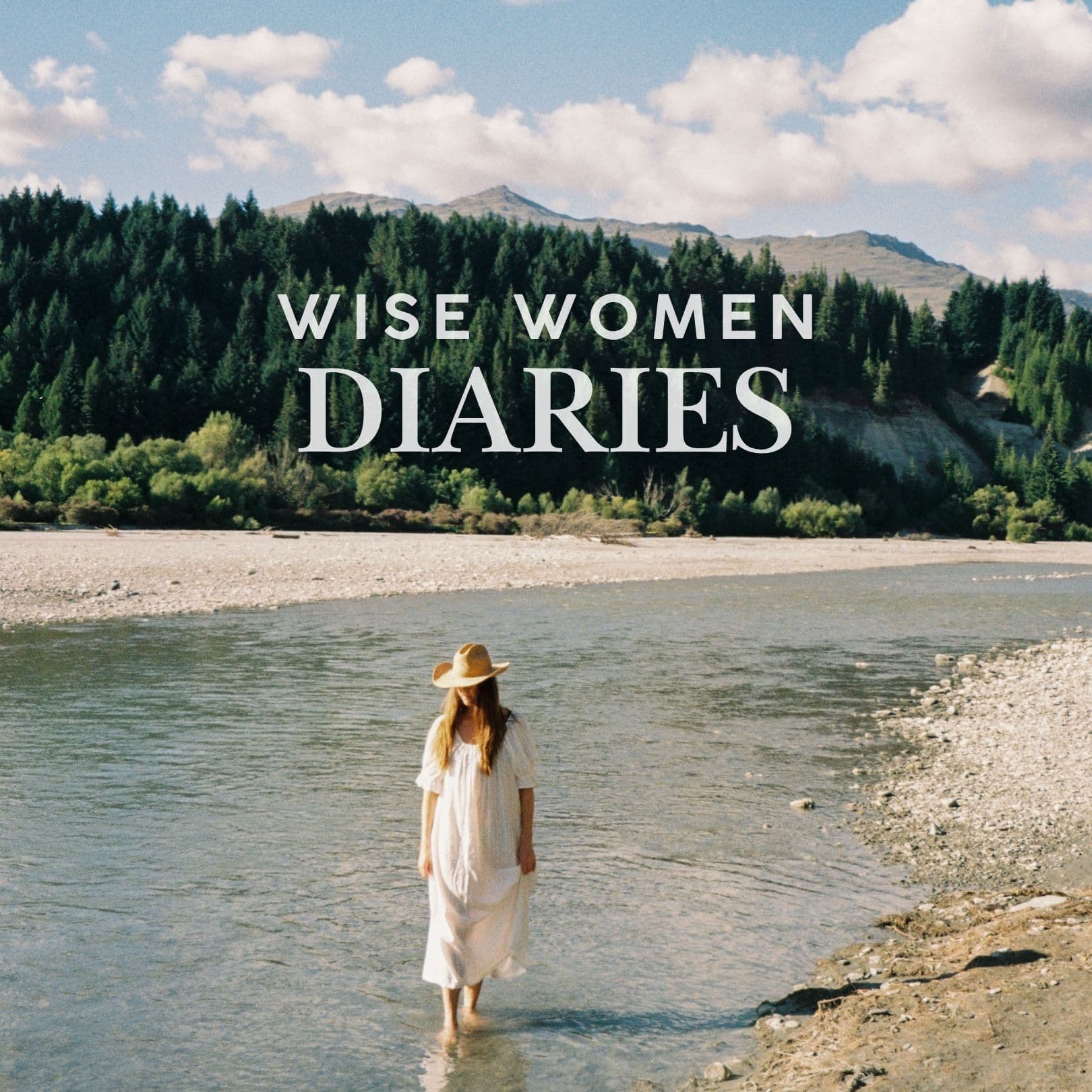 WISE WOMEN DIARIES cover