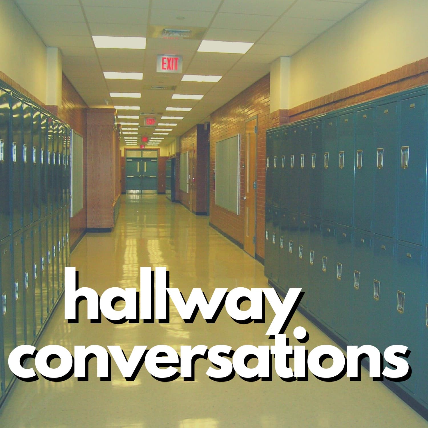 Episode 043: The Danger of a Single Story - Hallway Conversations cover