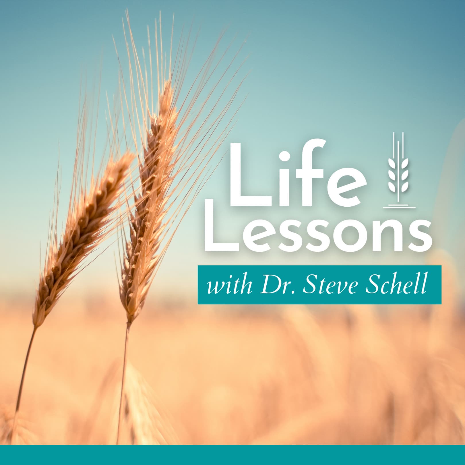 Life Lessons with Dr. Steve Schell cover