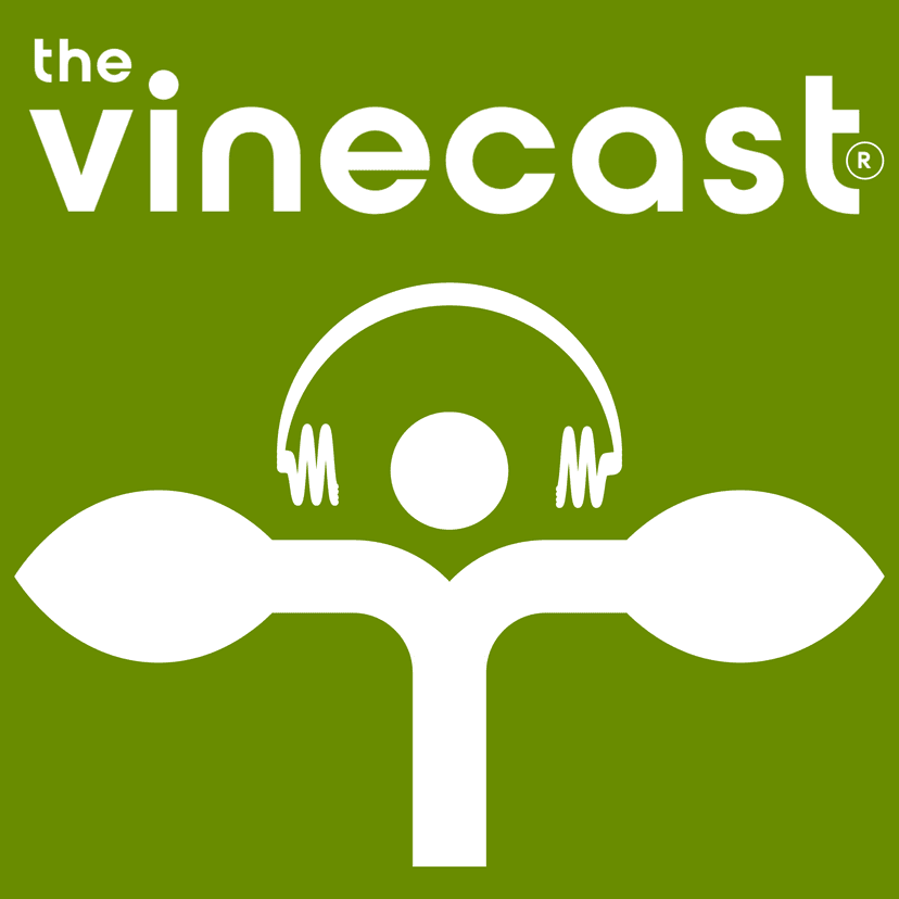 The Vinecast cover