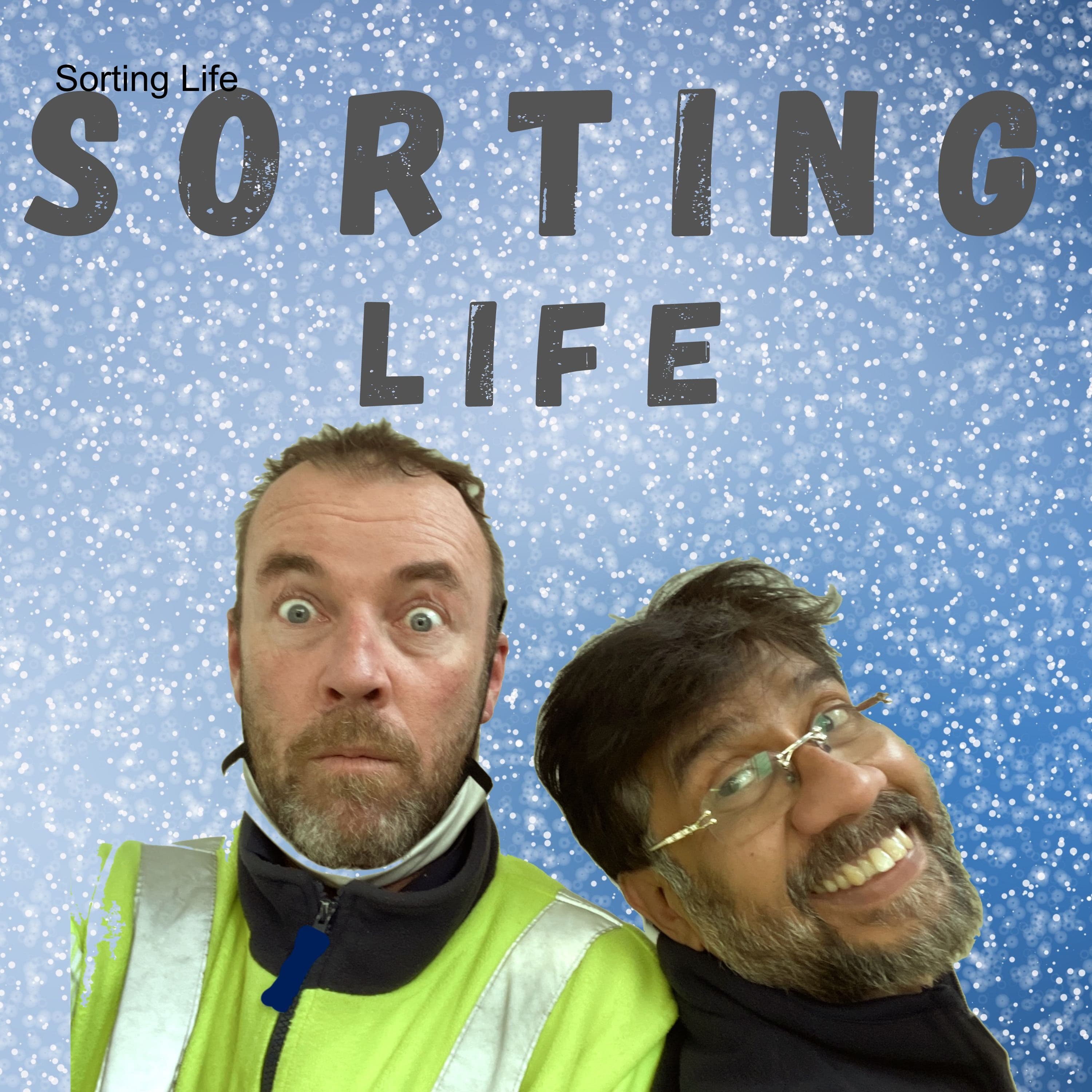 Sorting Life cover