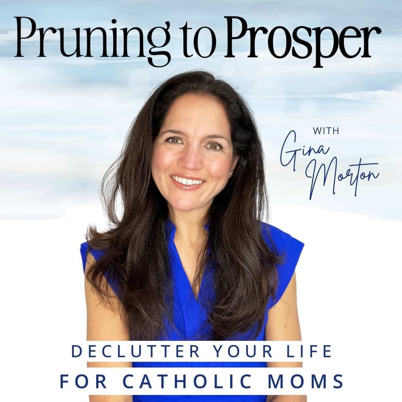 Pruning To Prosper/ Catholic, Declutter, Organize, Motivation, Budget, Meal Plan cover
