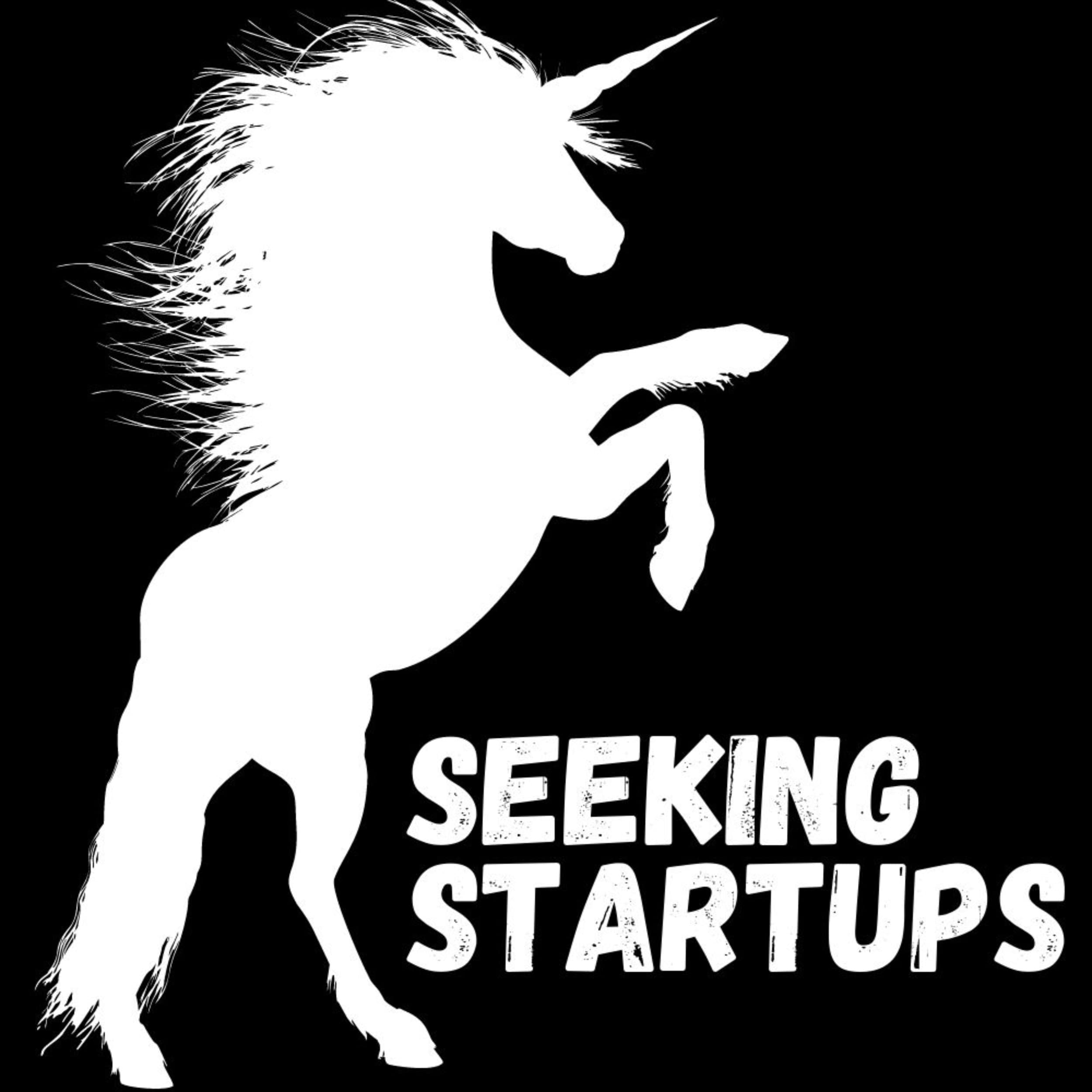 Seeking Startups cover