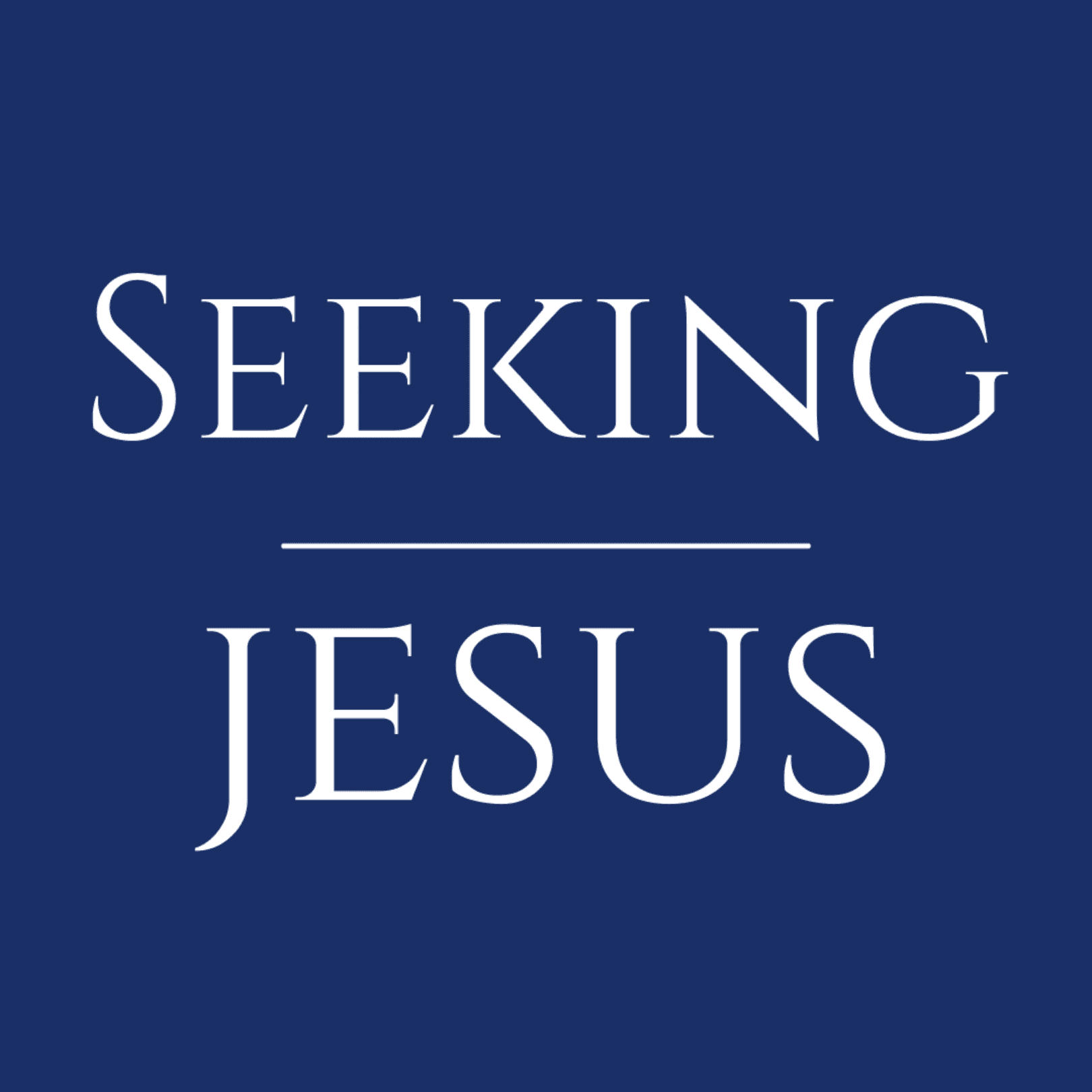 Seeking Jesus cover