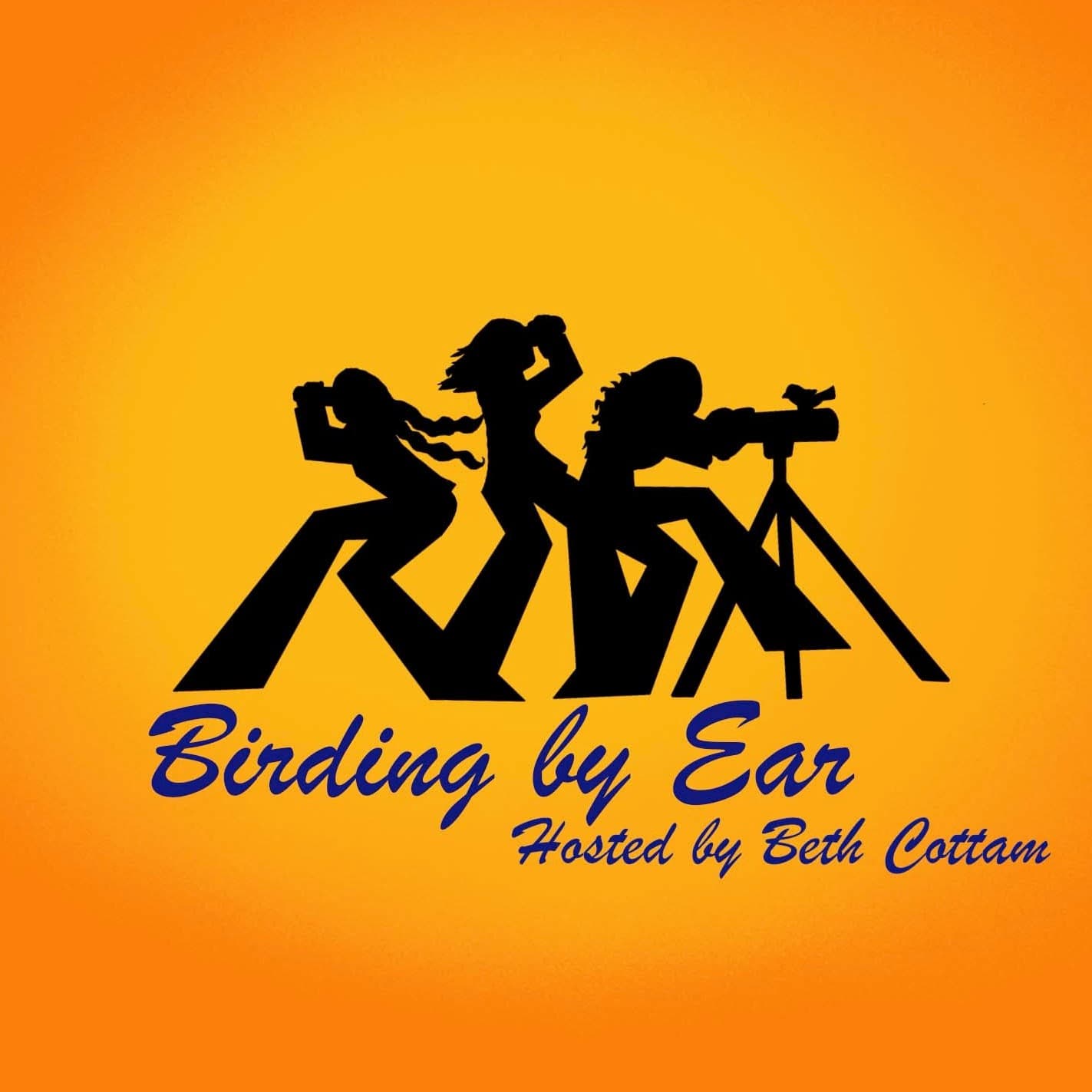 CBC Special - Birding By Ear cover