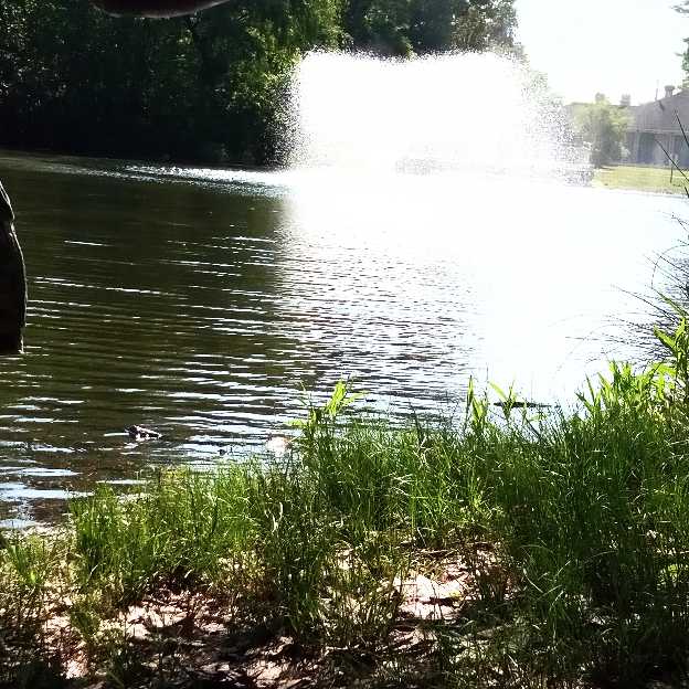 The only podcast you’ll ever need cover