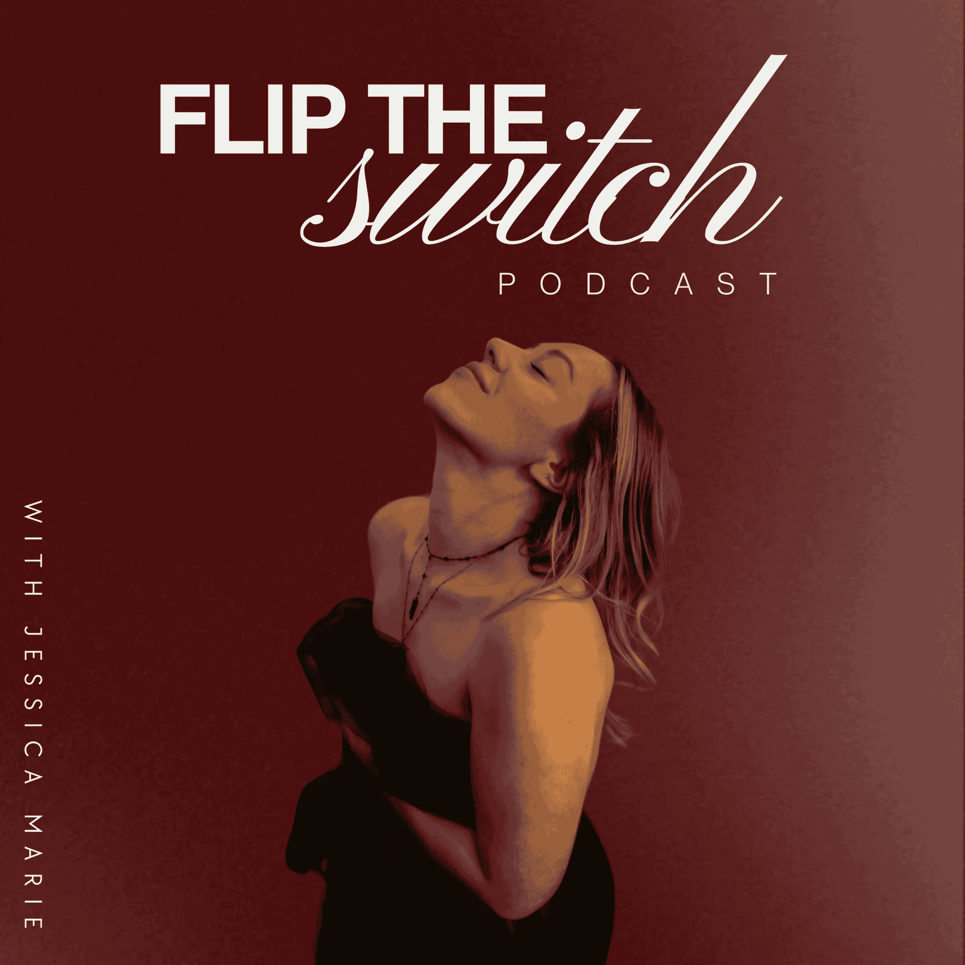 Flip the Switch cover
