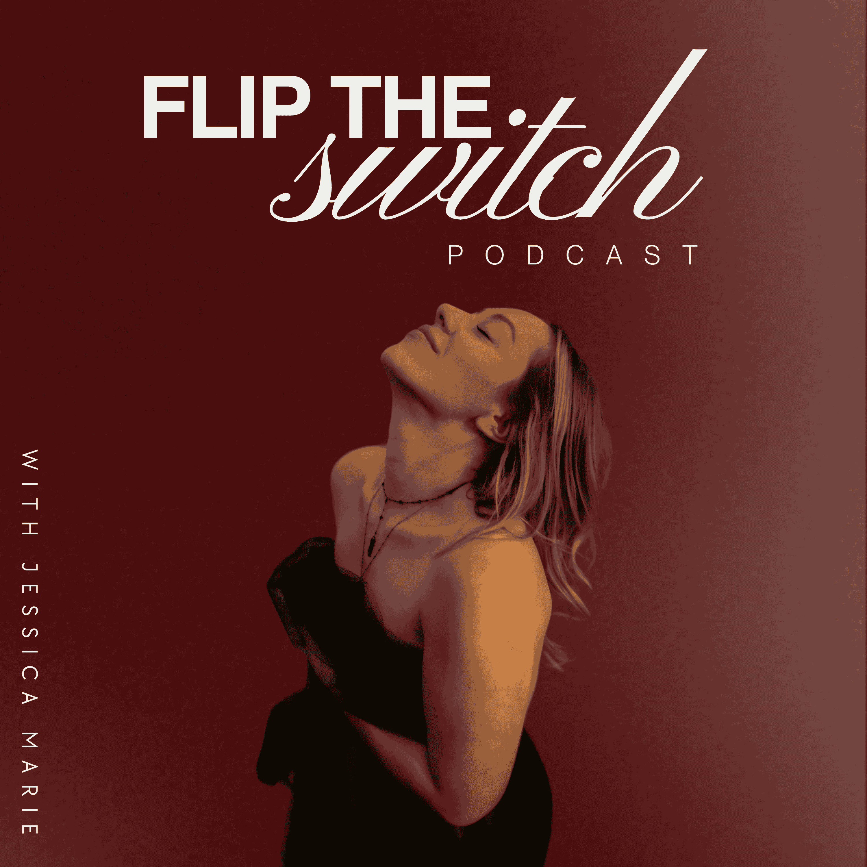 Flip the Switch cover