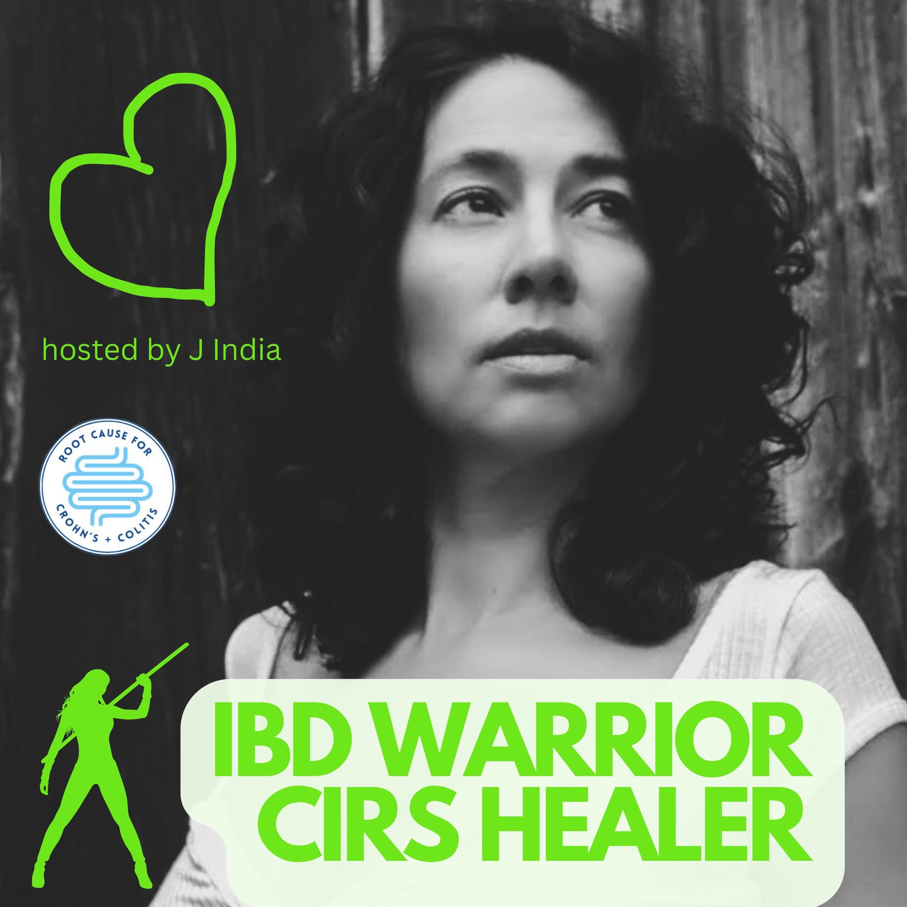 IBD Warrior CIRS Healer | Inflammatory Bowel Disease + Chronic Inflammatory Response Syndrome cover