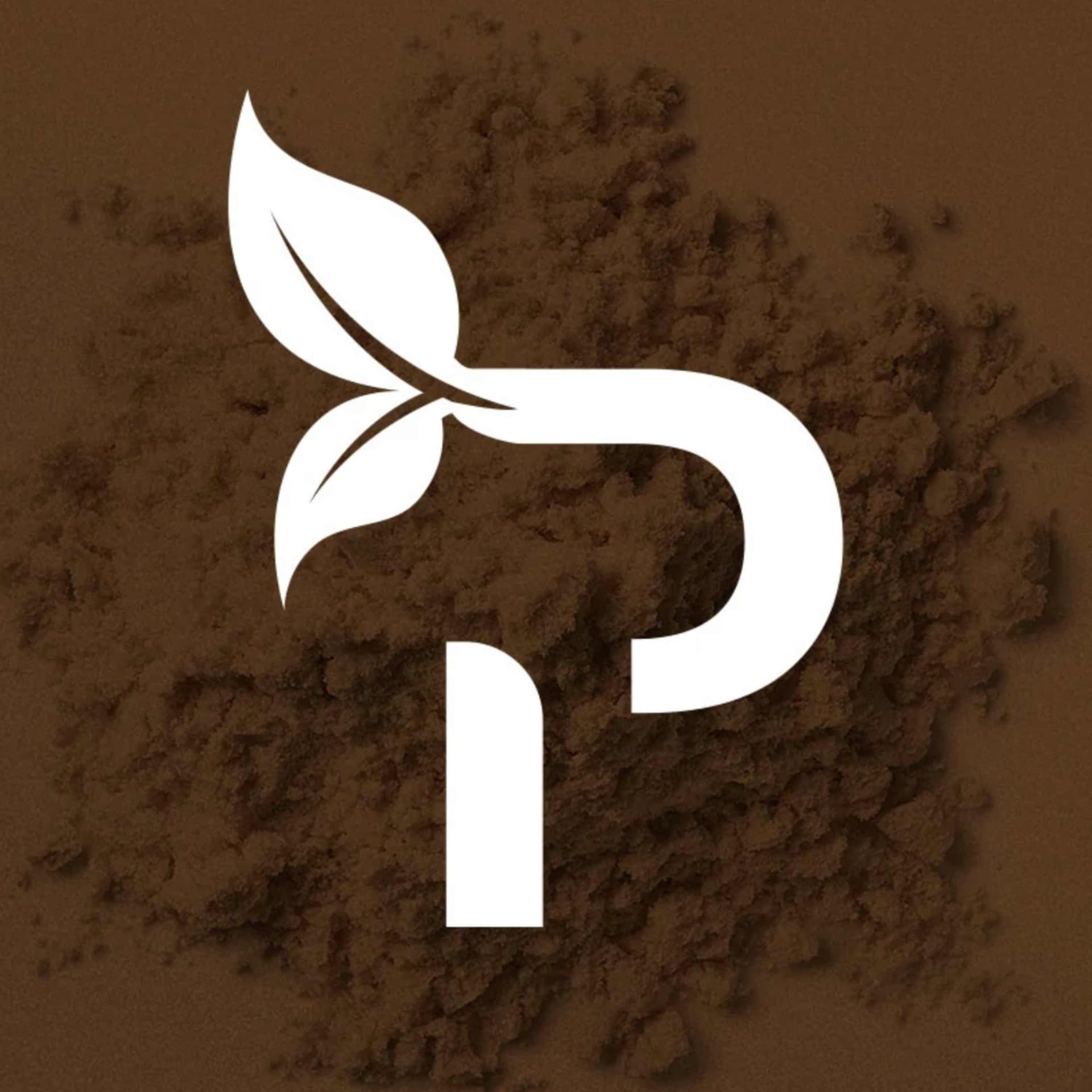 The PHYBA™ Performance Podcast cover