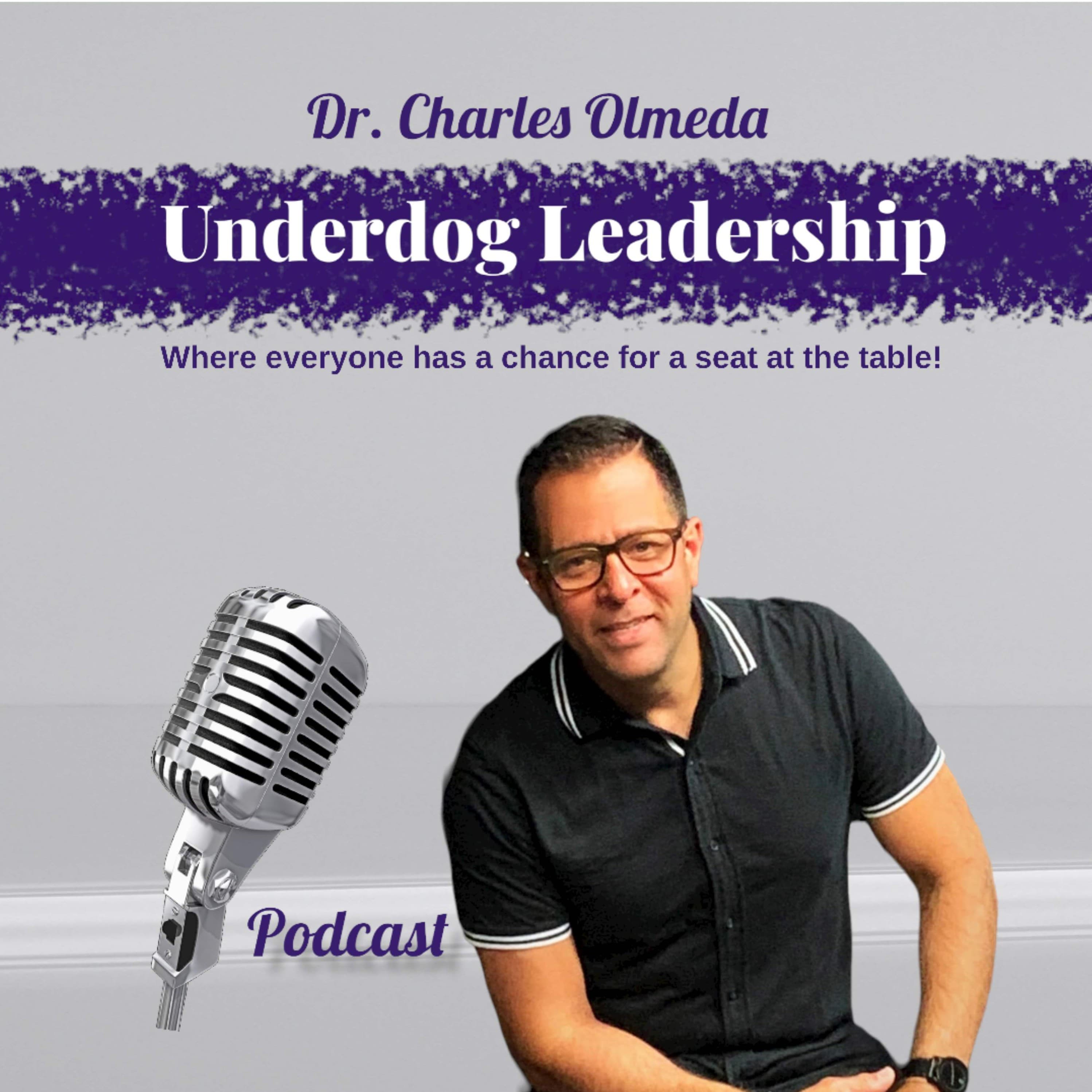 Underdog Leadership - Leadership Principles, Leadership Success, Resilience cover