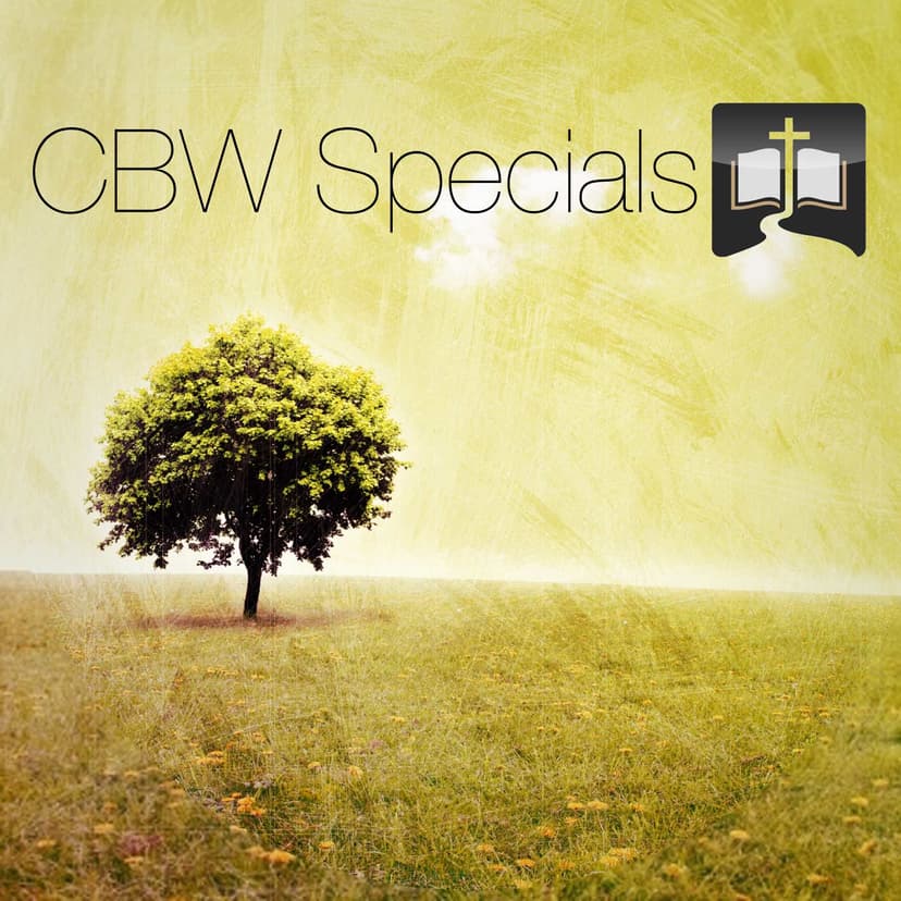 Bibleway Specials cover
