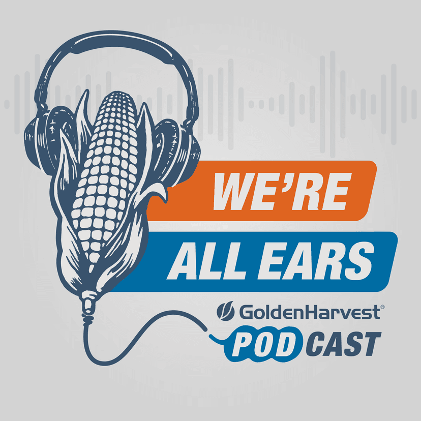 We’re All Ears cover