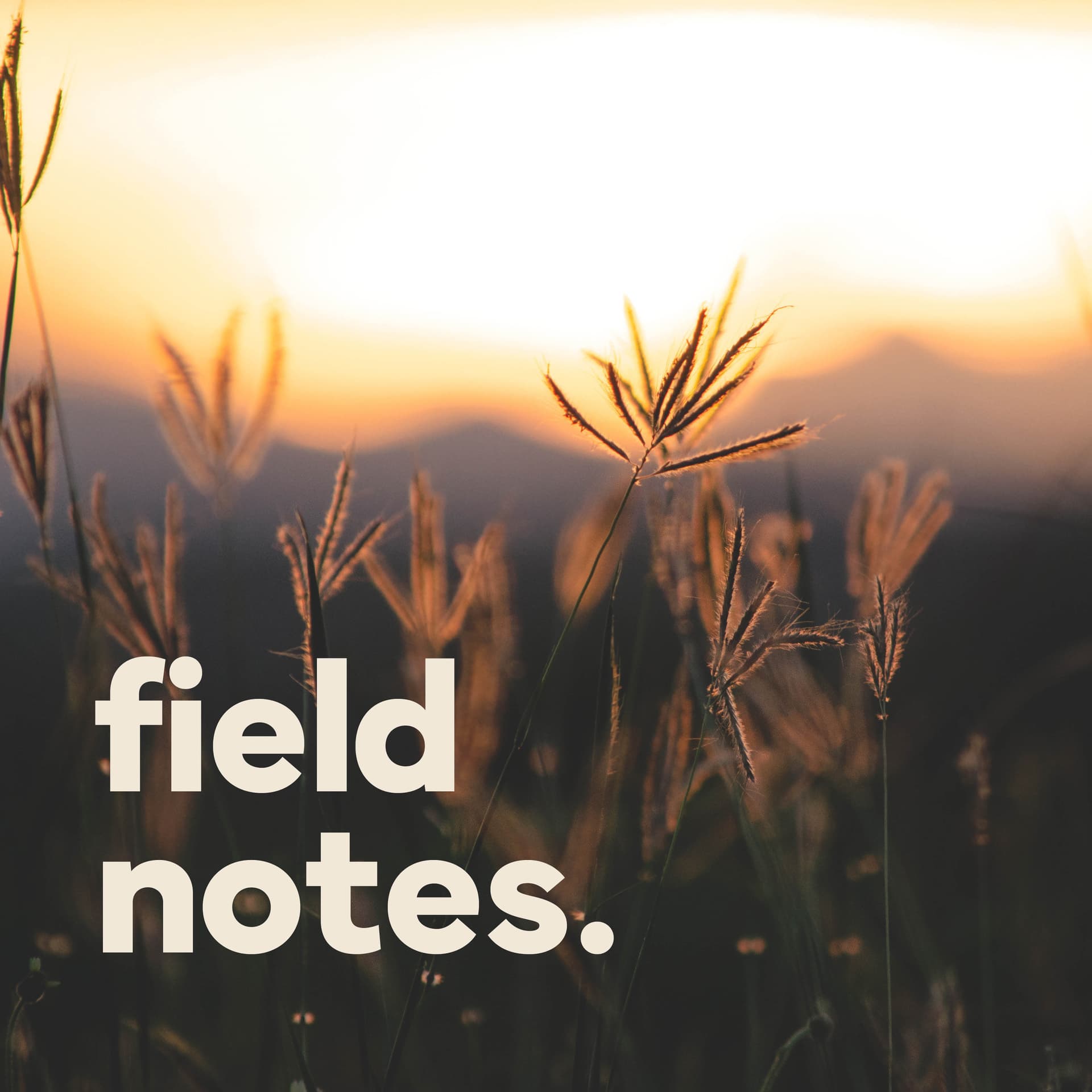 field notes. cover