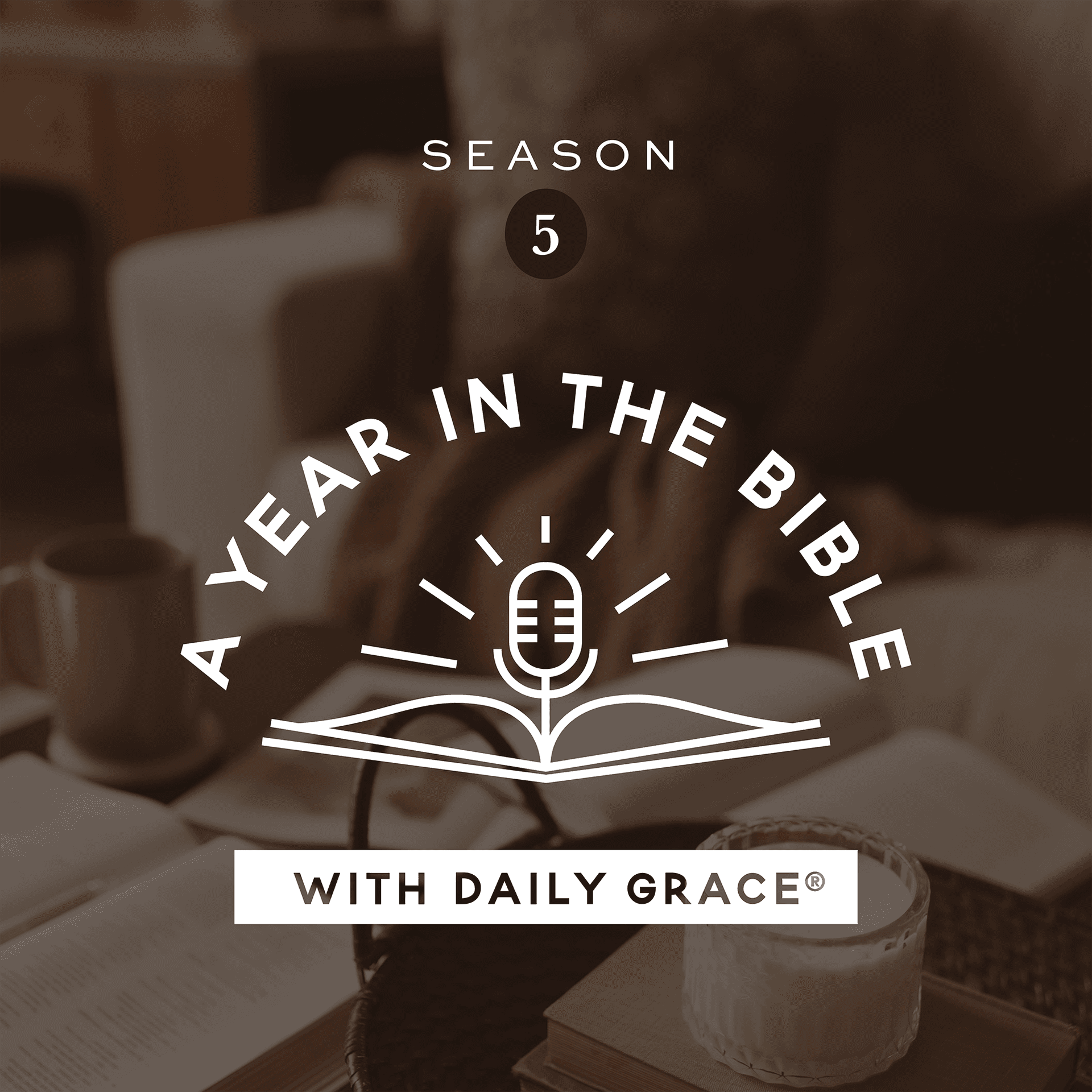 A Year in the Bible with Daily Grace cover