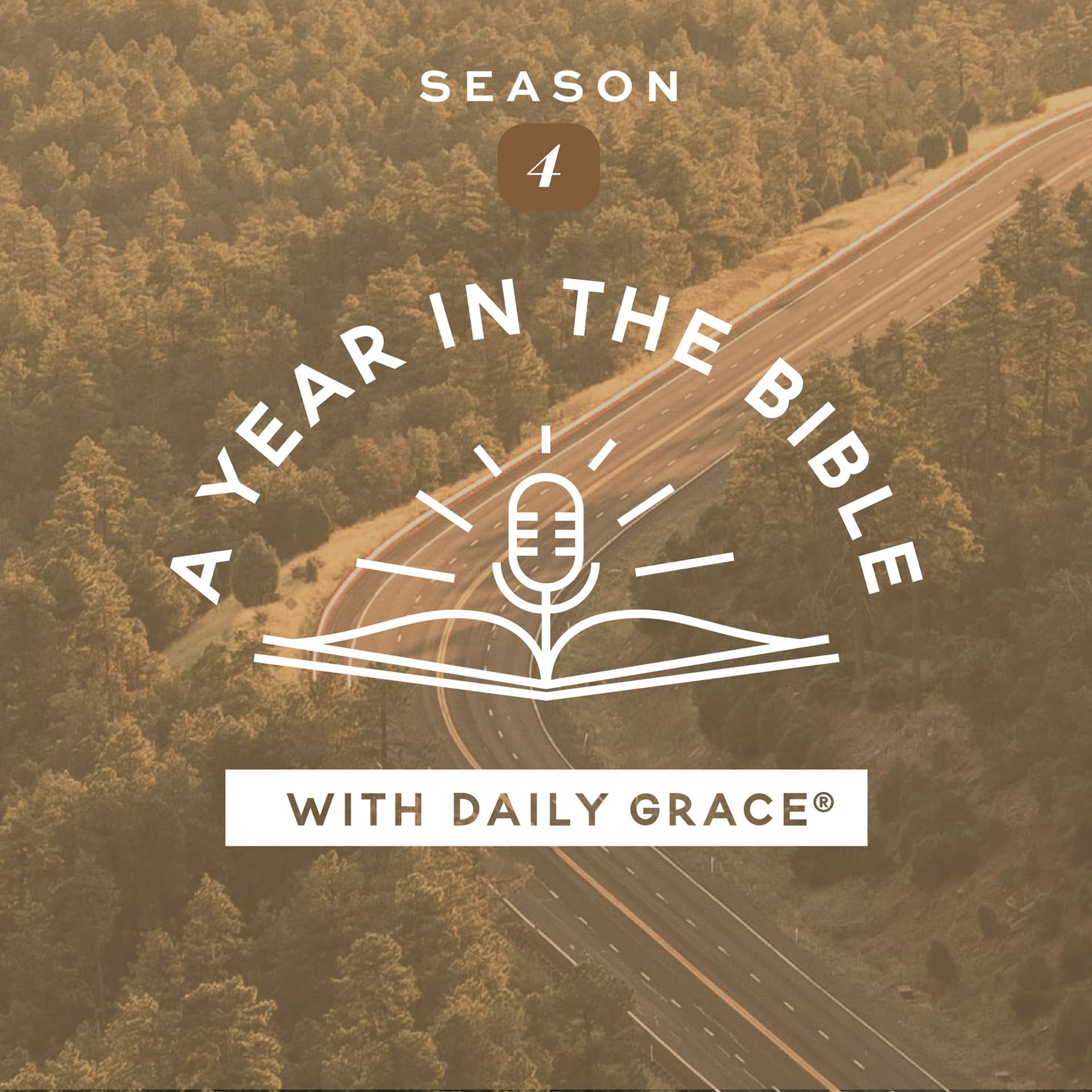 S4: Week 33 Day 1: Annotating Proverbs 1:7 - A Year in the Bible with Daily Grace cover