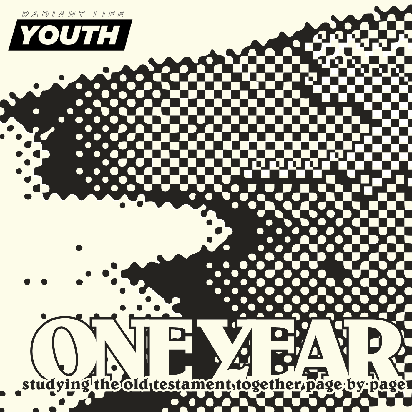 1 Year Challenge cover