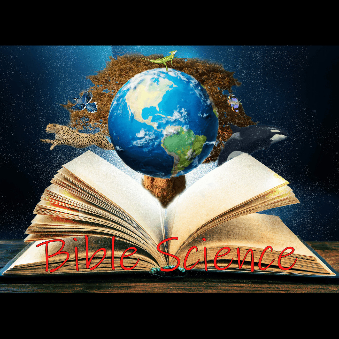 Bible Science cover