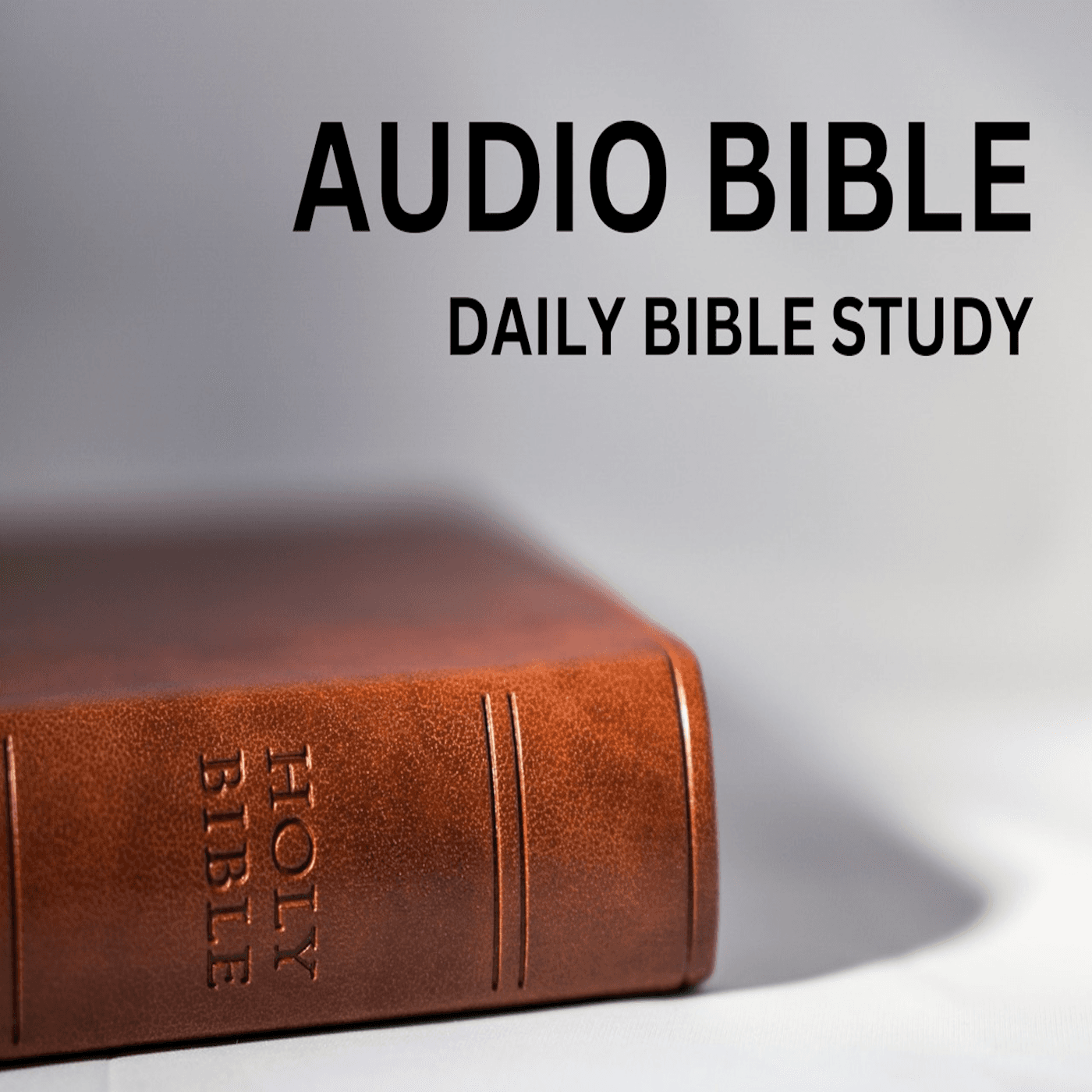 The Audio Bible Podcast: Daily Bible Reading cover