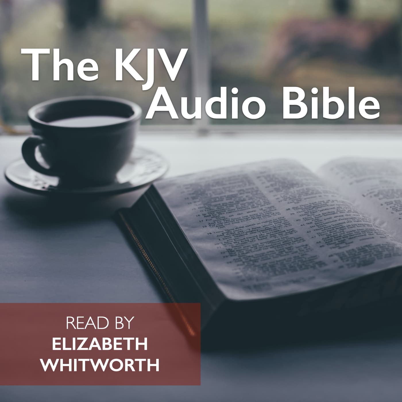The KJV Audio Bible cover