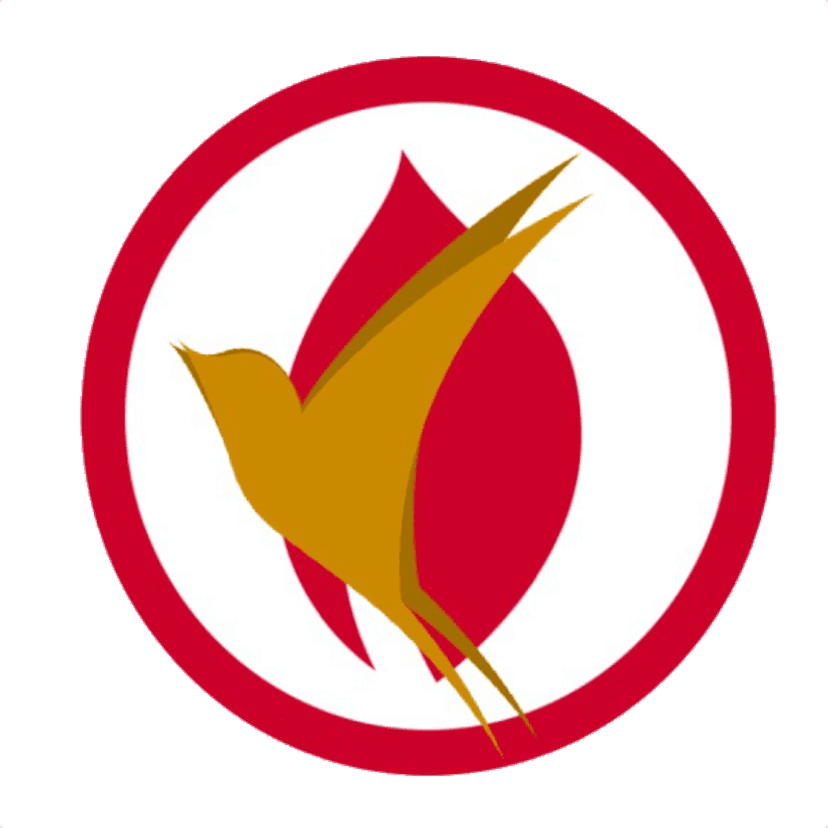 Apostolic Pentecostal Bible Study cover