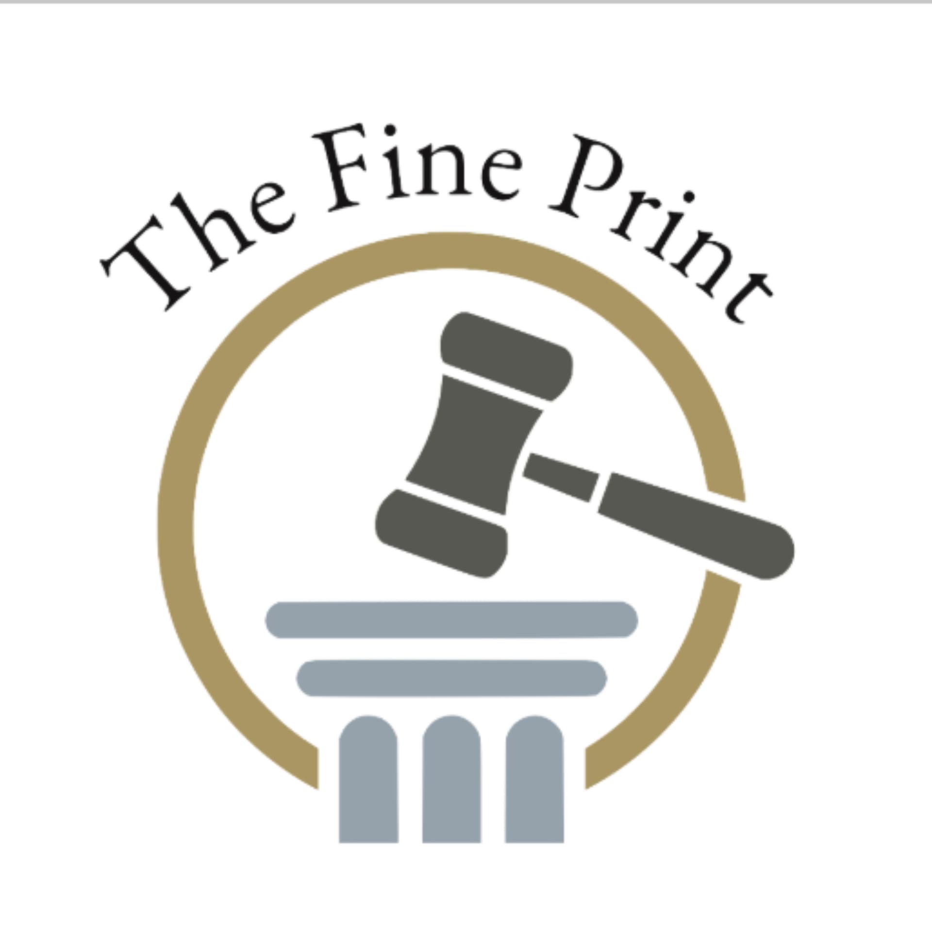 Investment, Climate Change & Public International Law With Ms.Gunjan Soni - The Fine Print cover