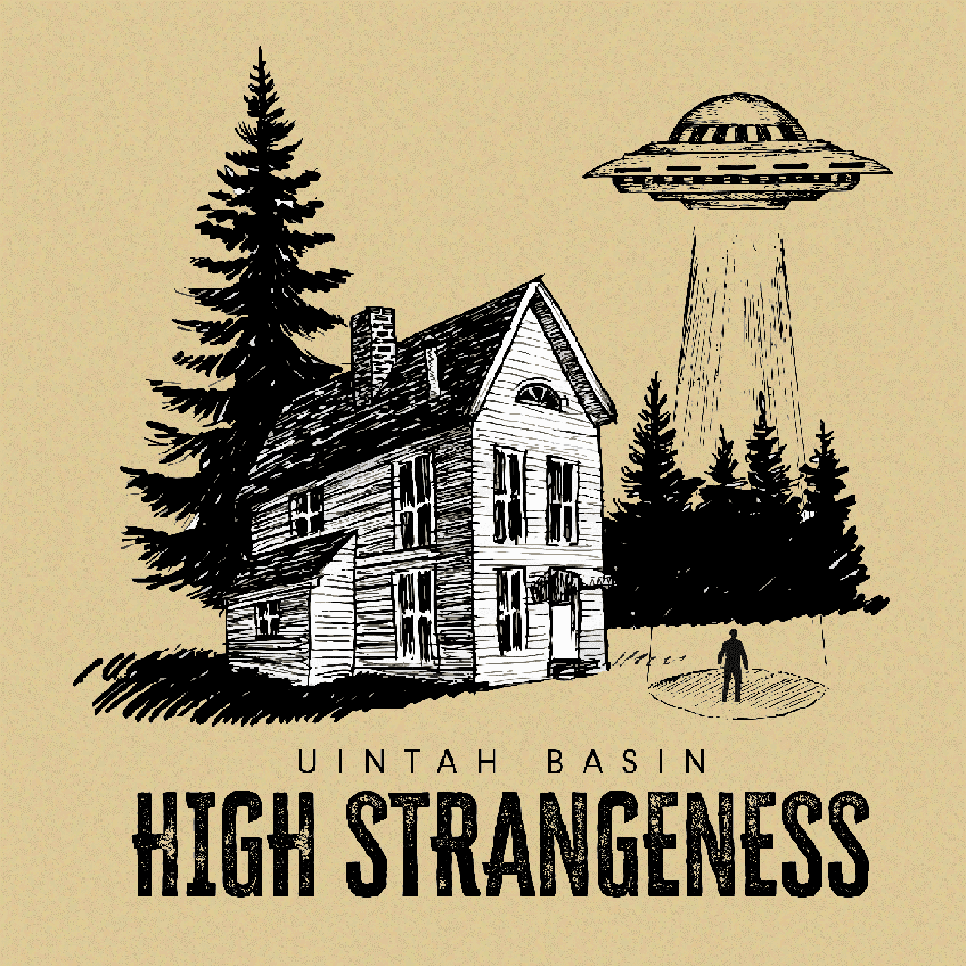 The Experiencer — Uintah Basin High Strangeness cover