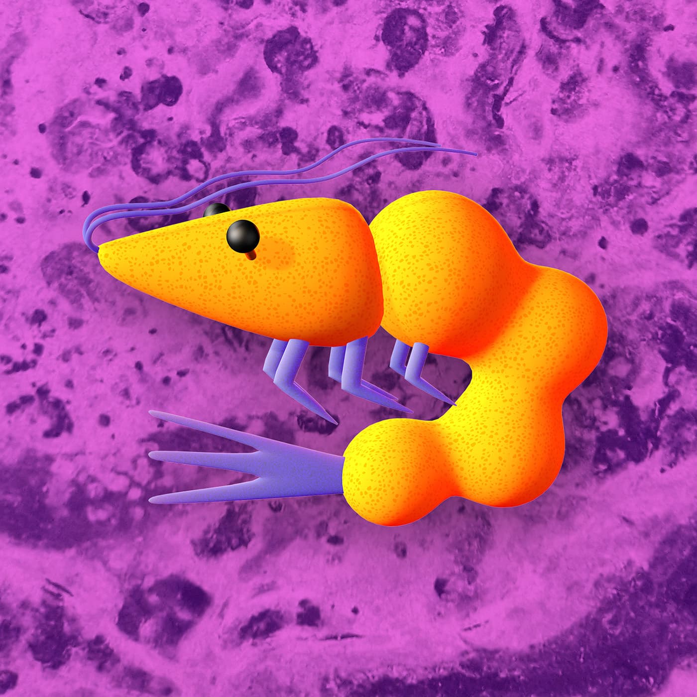 Câmara Magmática cover