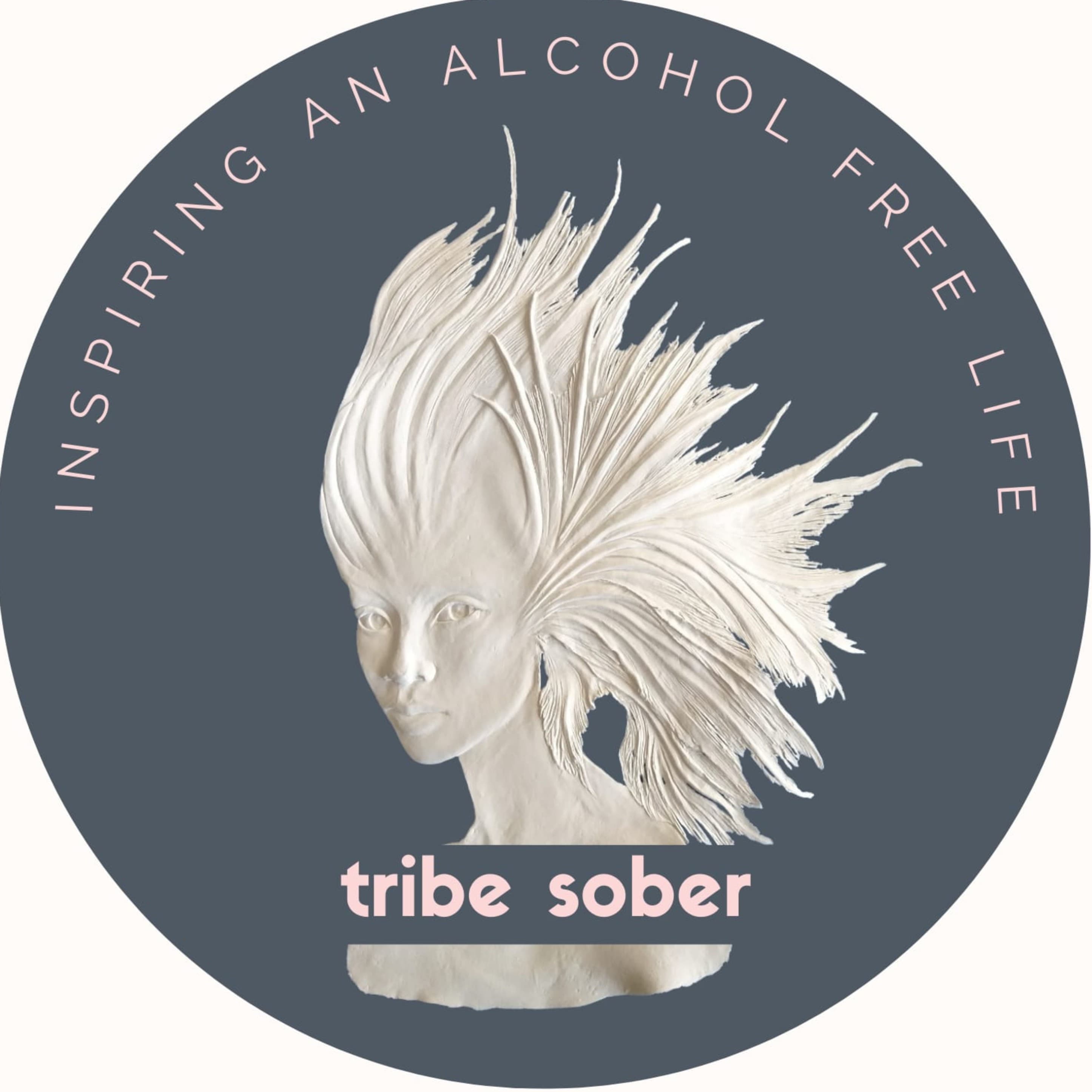 Tribe Sober - inspiring an alcohol free life! cover