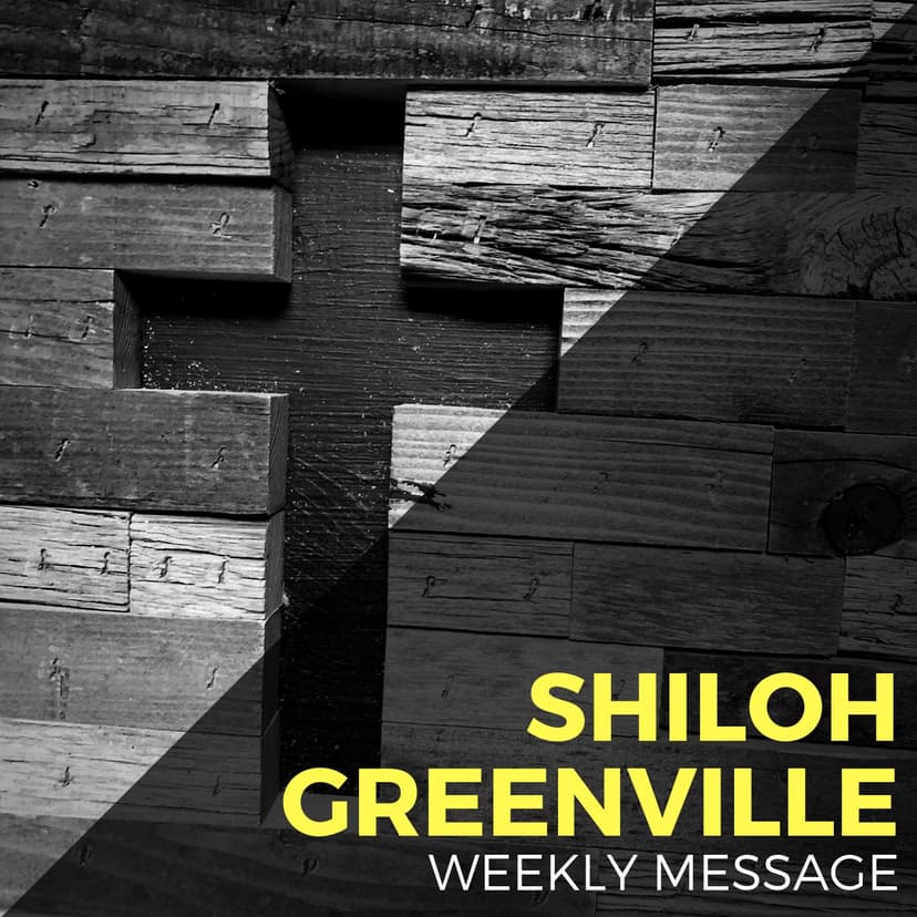 Shiloh Greenville cover