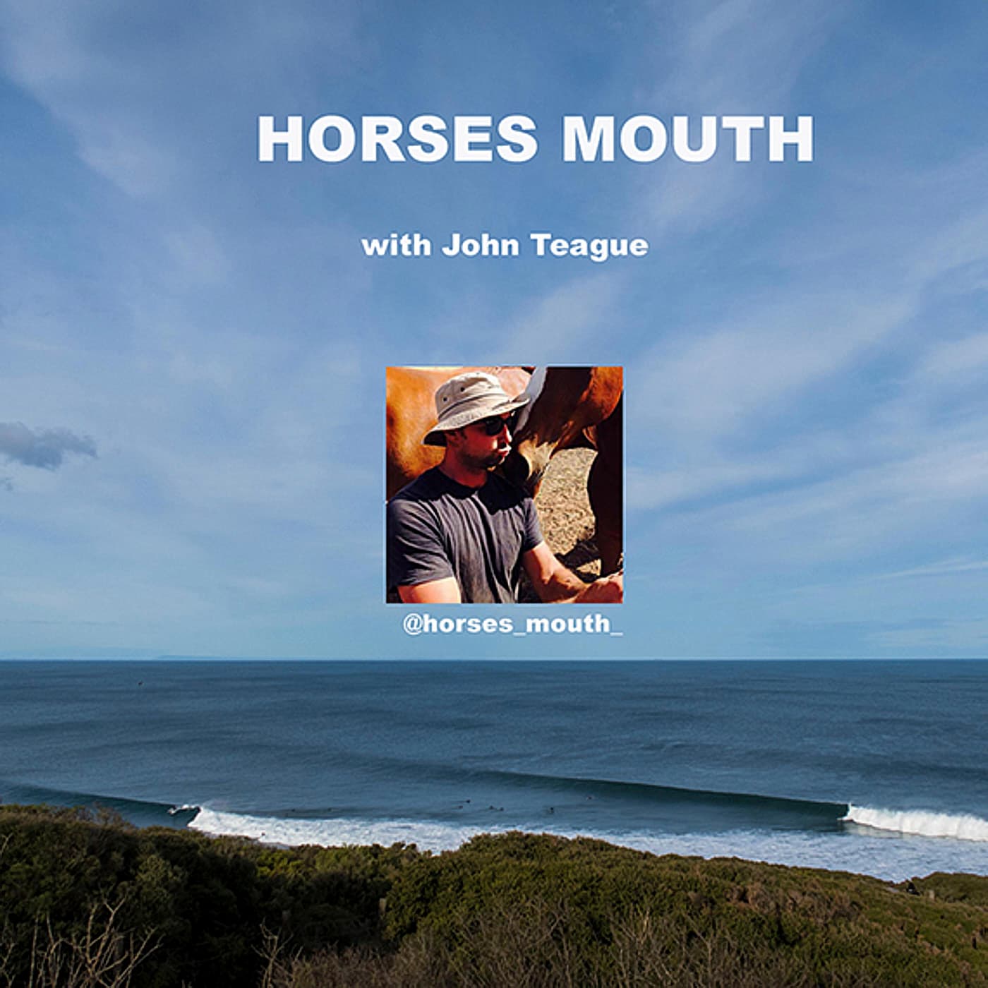 HORSES MOUTH cover