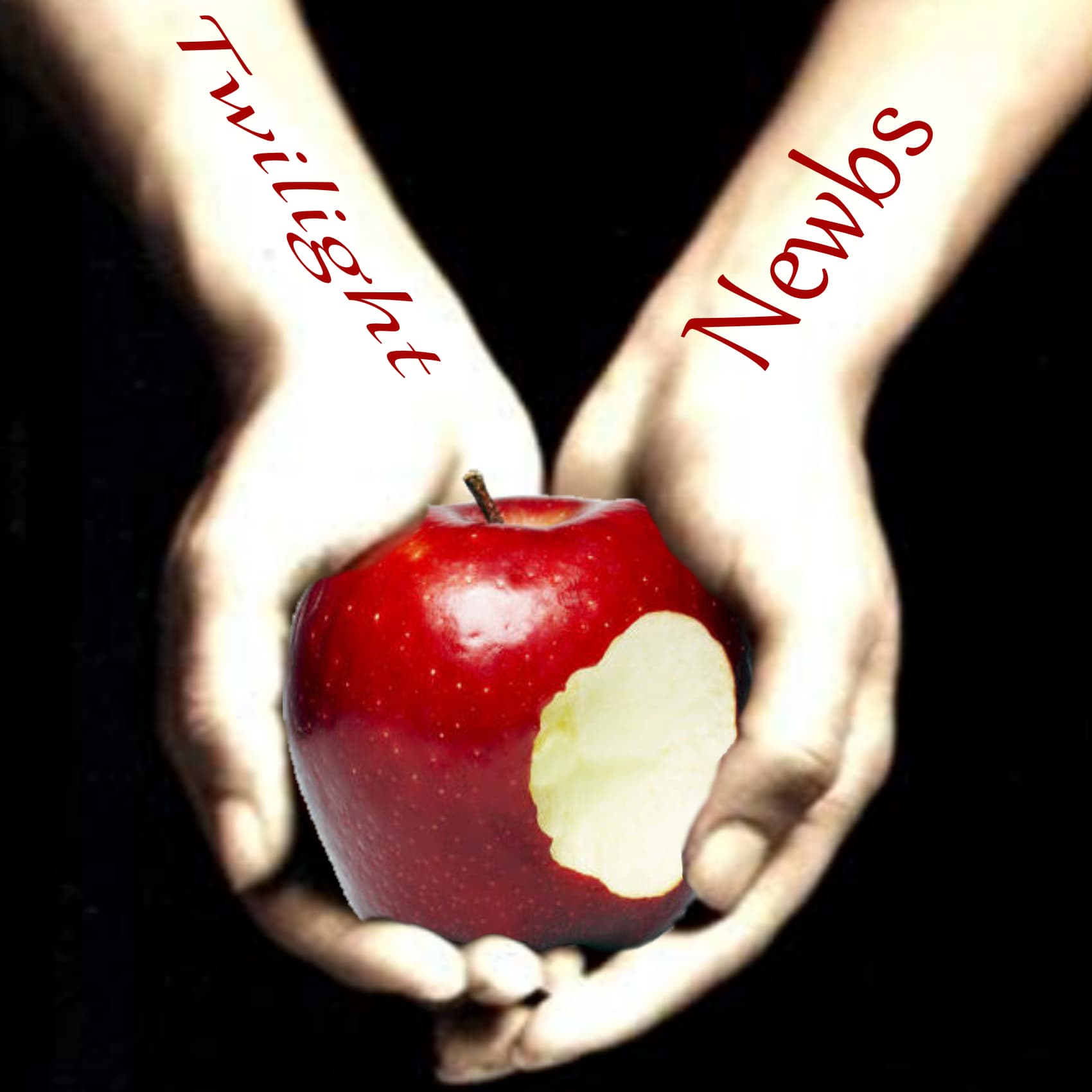 Twilight Newbs cover