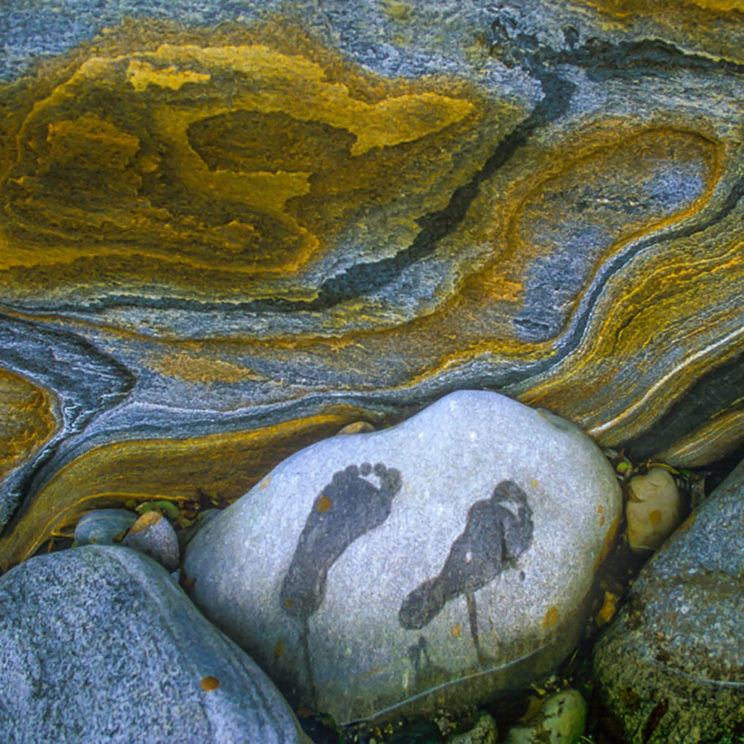 Natural Intelligence Worldwide cover