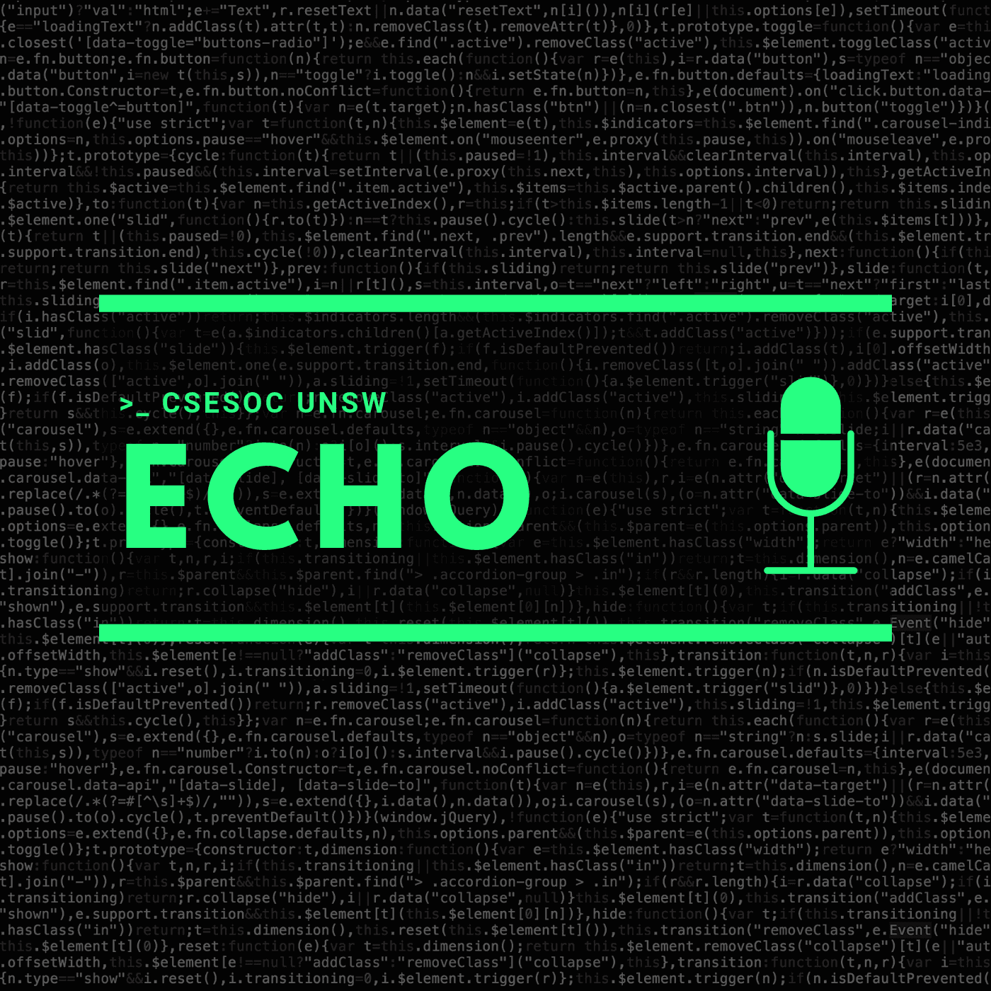 Echo cover