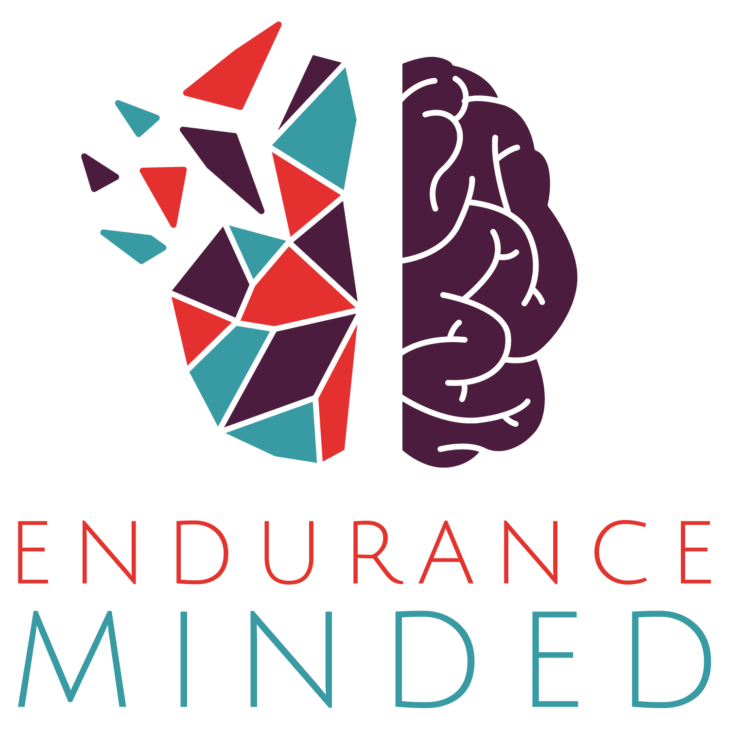 Endurance Minded cover