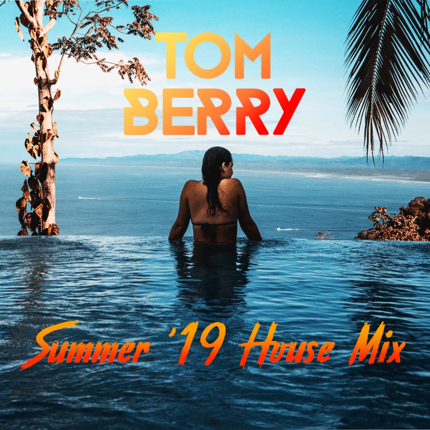 DJ Tom Berry cover