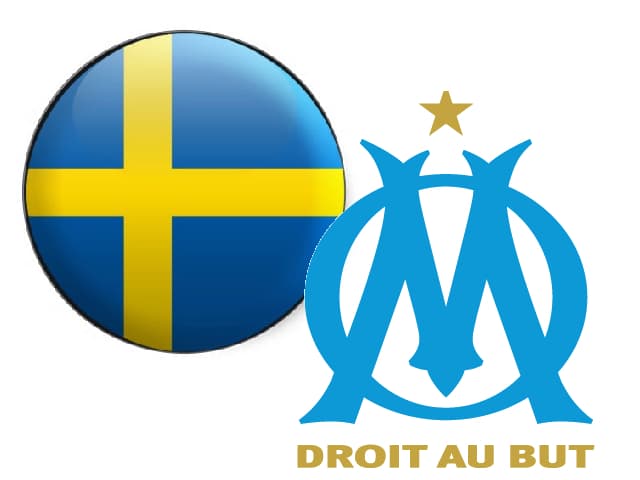 OM Sweden cover