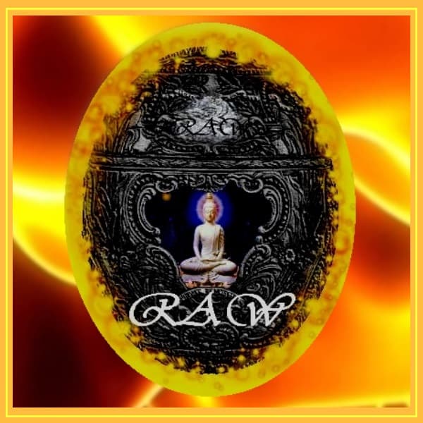 Audio Books - RAW cover