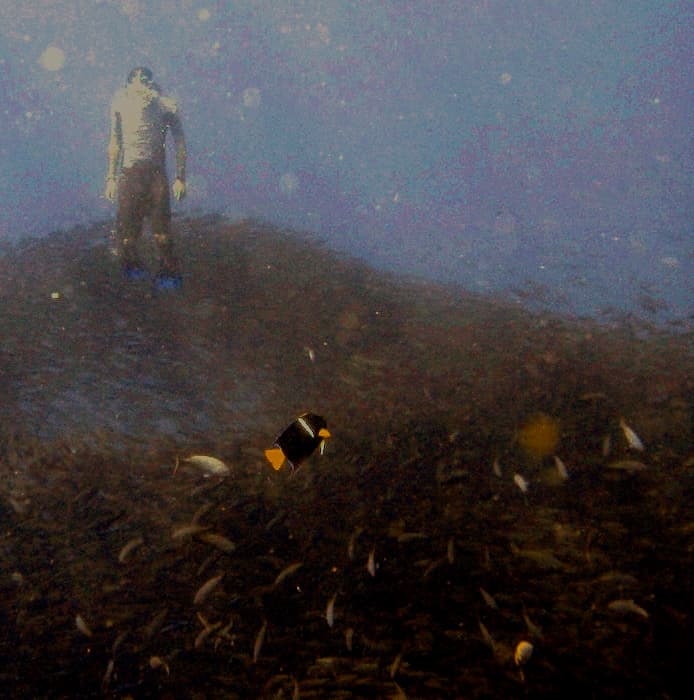 LRHO Galapagos Photography cover